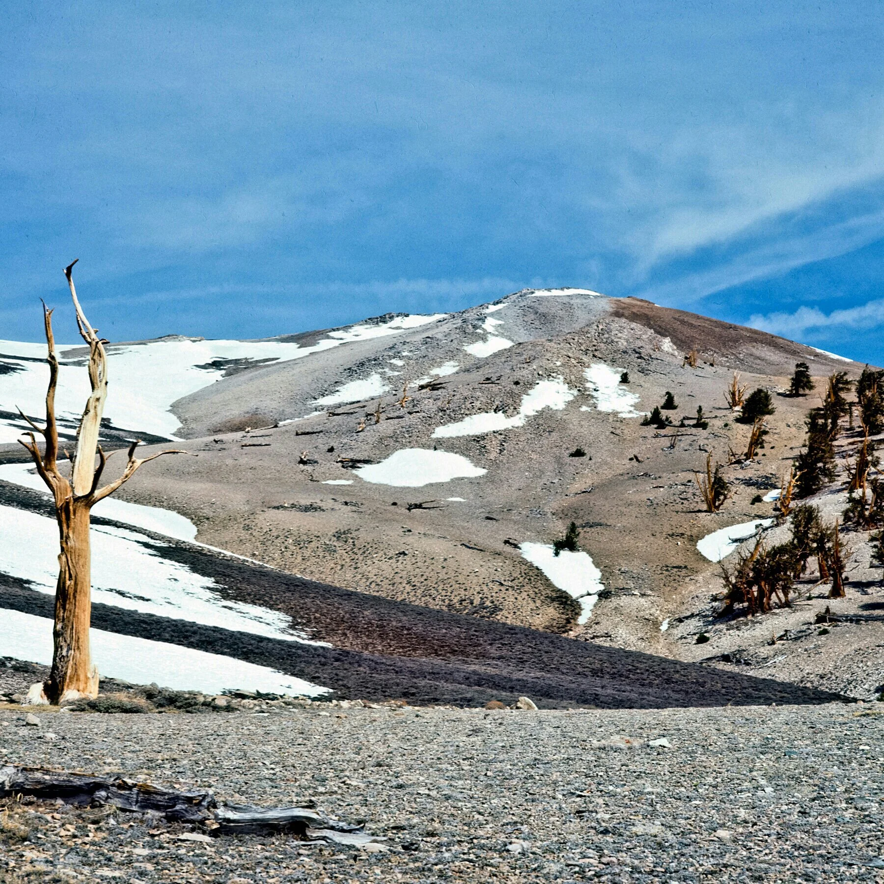 IMG_20121214_212528 copy.jpg