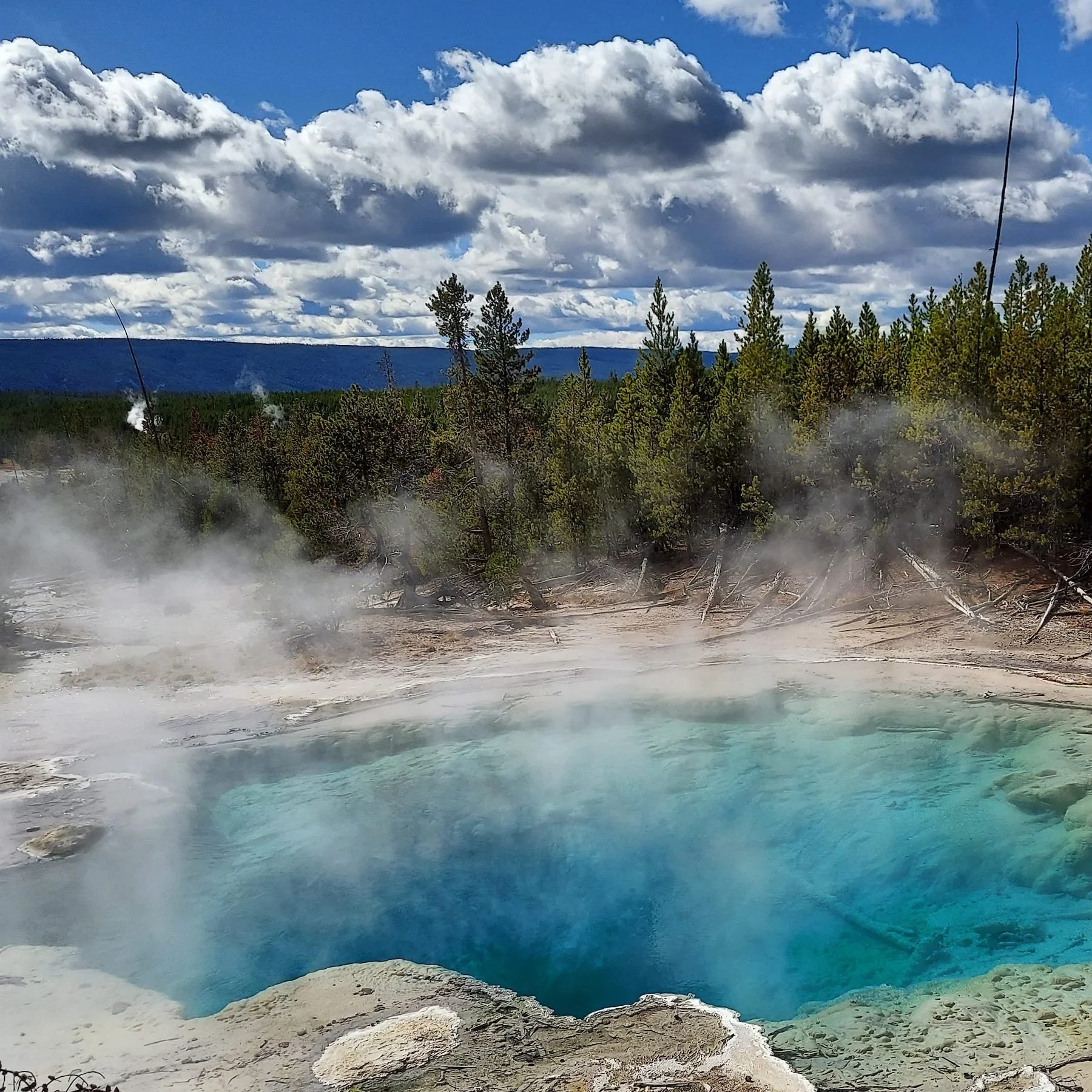 Emerald Spring Norris GB.jpg