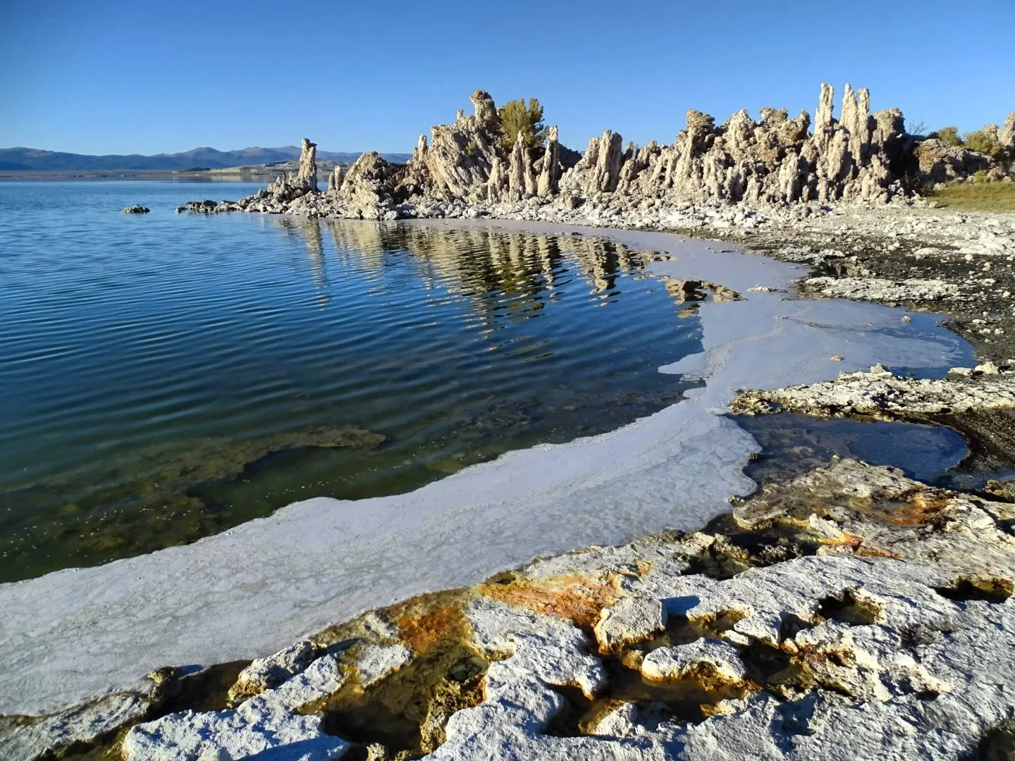 IMG_20210929_211917_545 48x.jpg