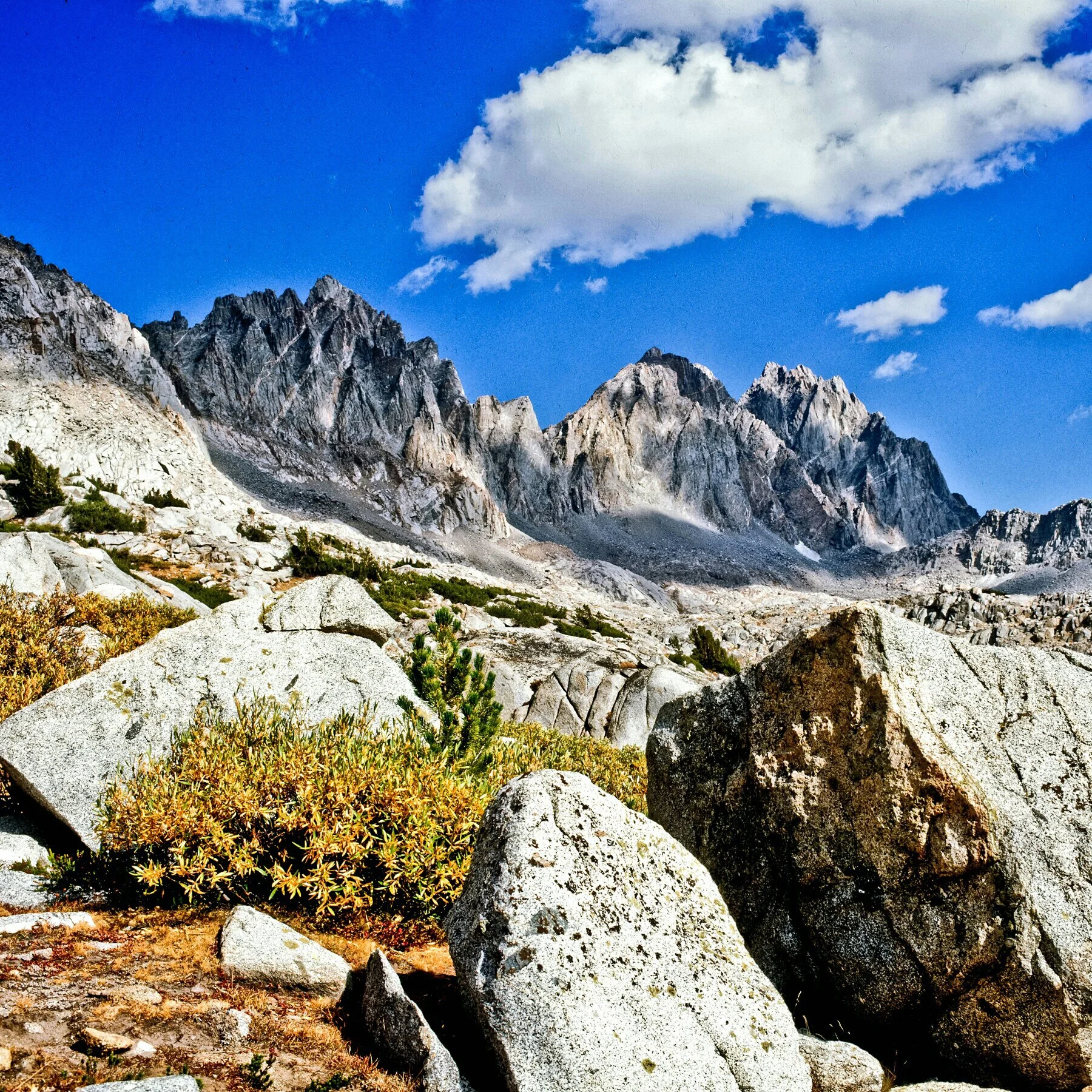 IMG_20121216_194859 copy.jpg