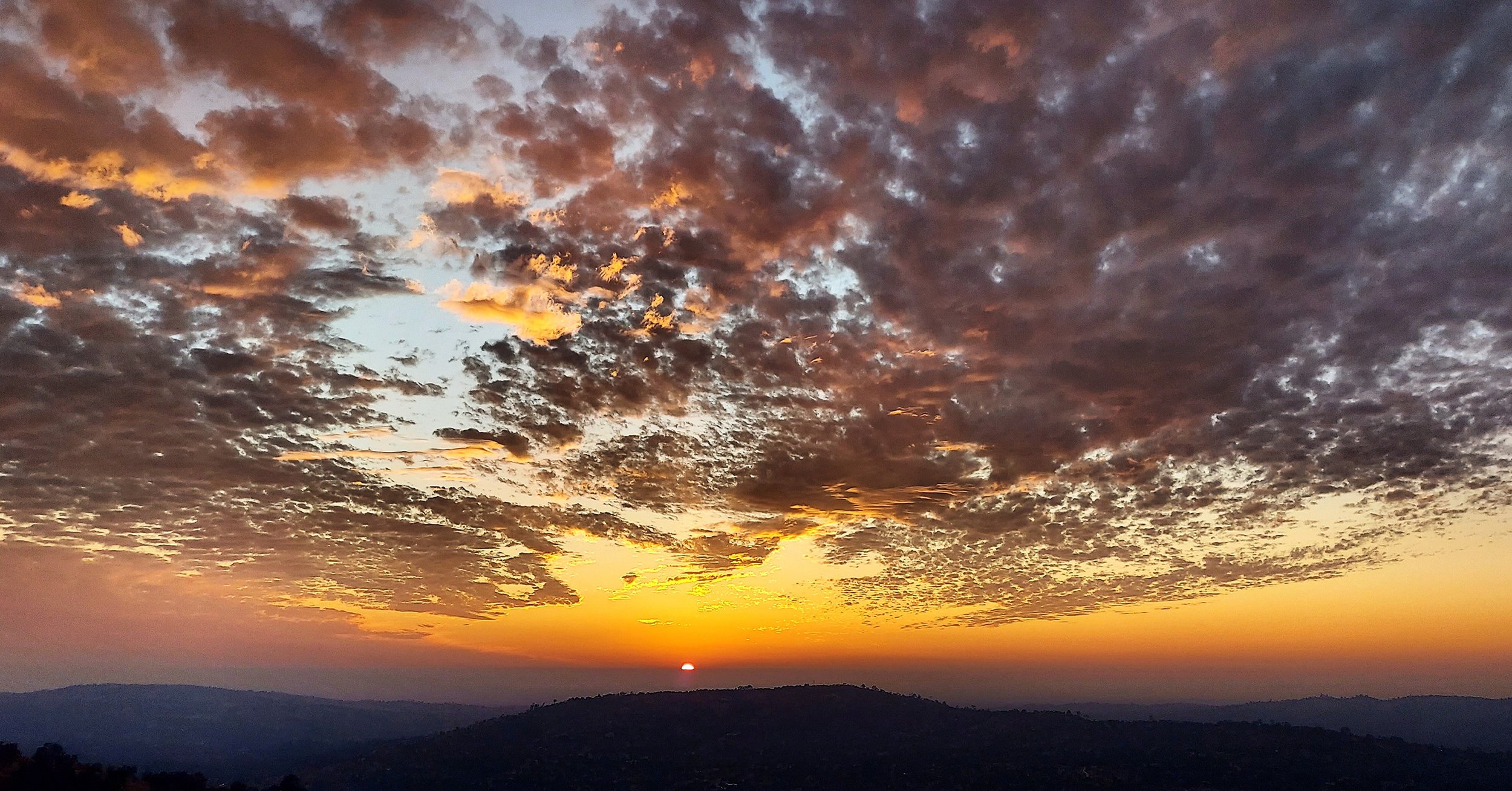 IMG_20201120_171358_999 copy.jpg