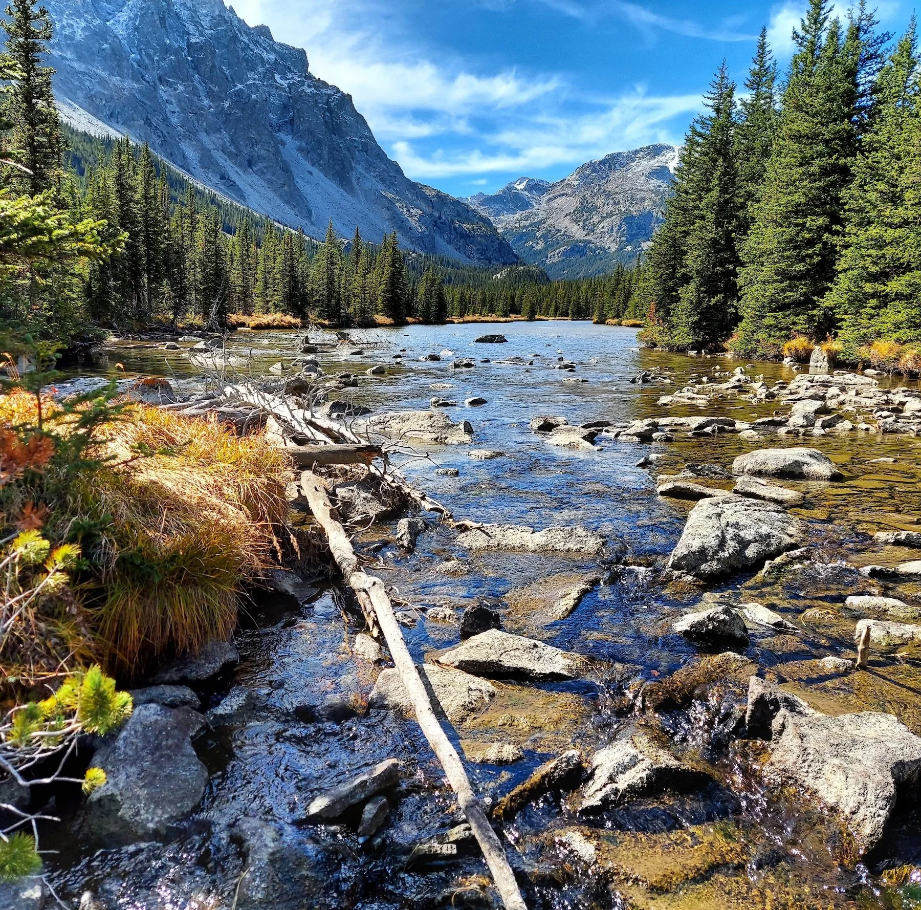 West fork Rock Creek MT.jpeg