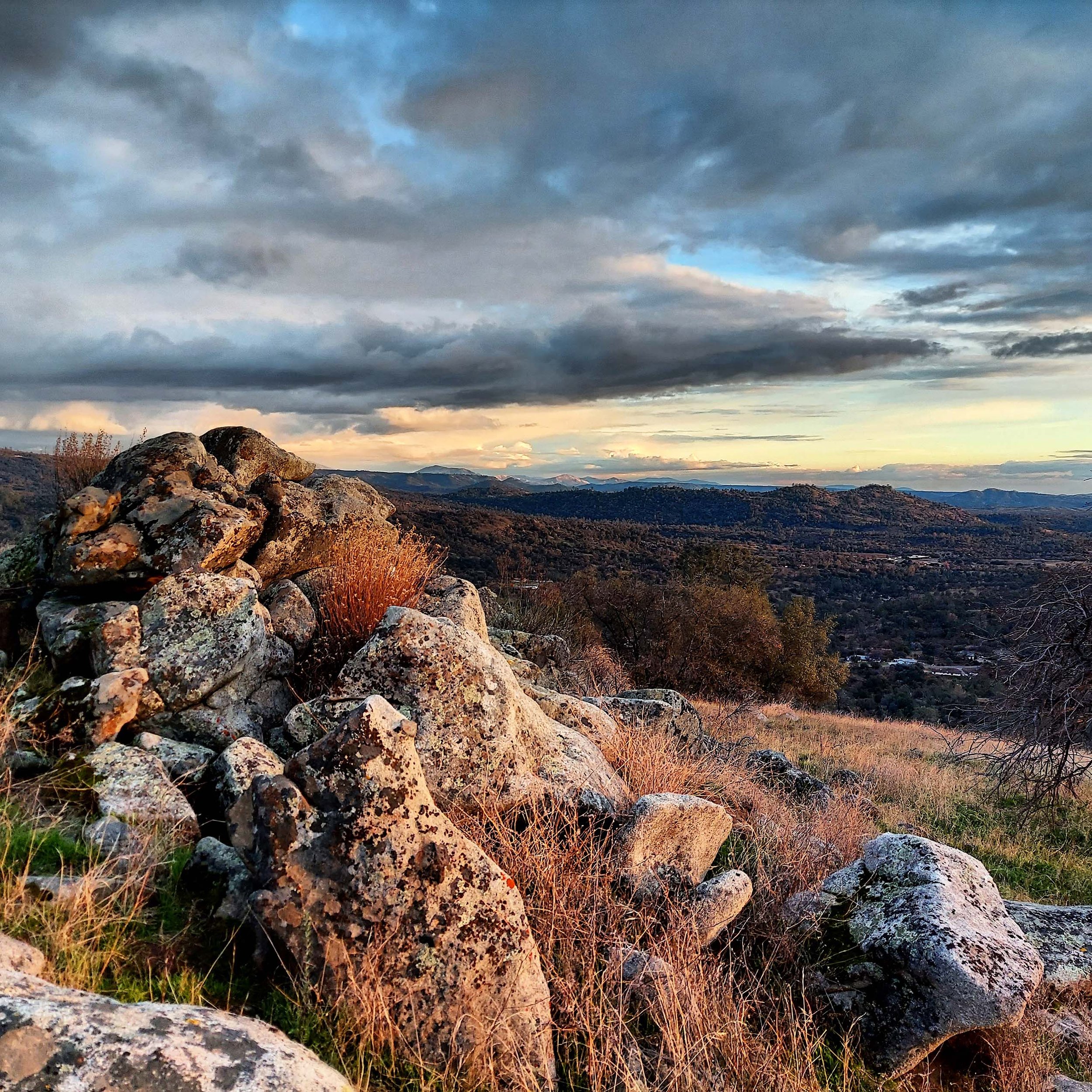 IMG_20201228_171457_513 copy.jpg