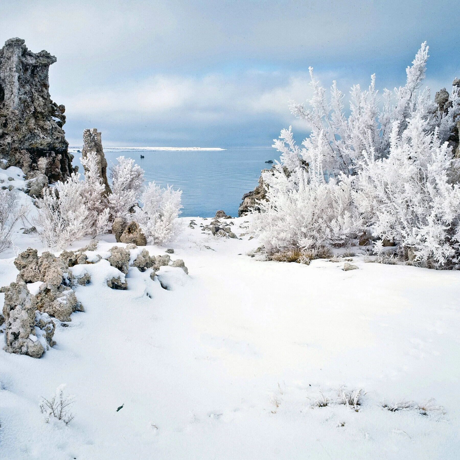 IMG_20121118_193604 6x.jpg