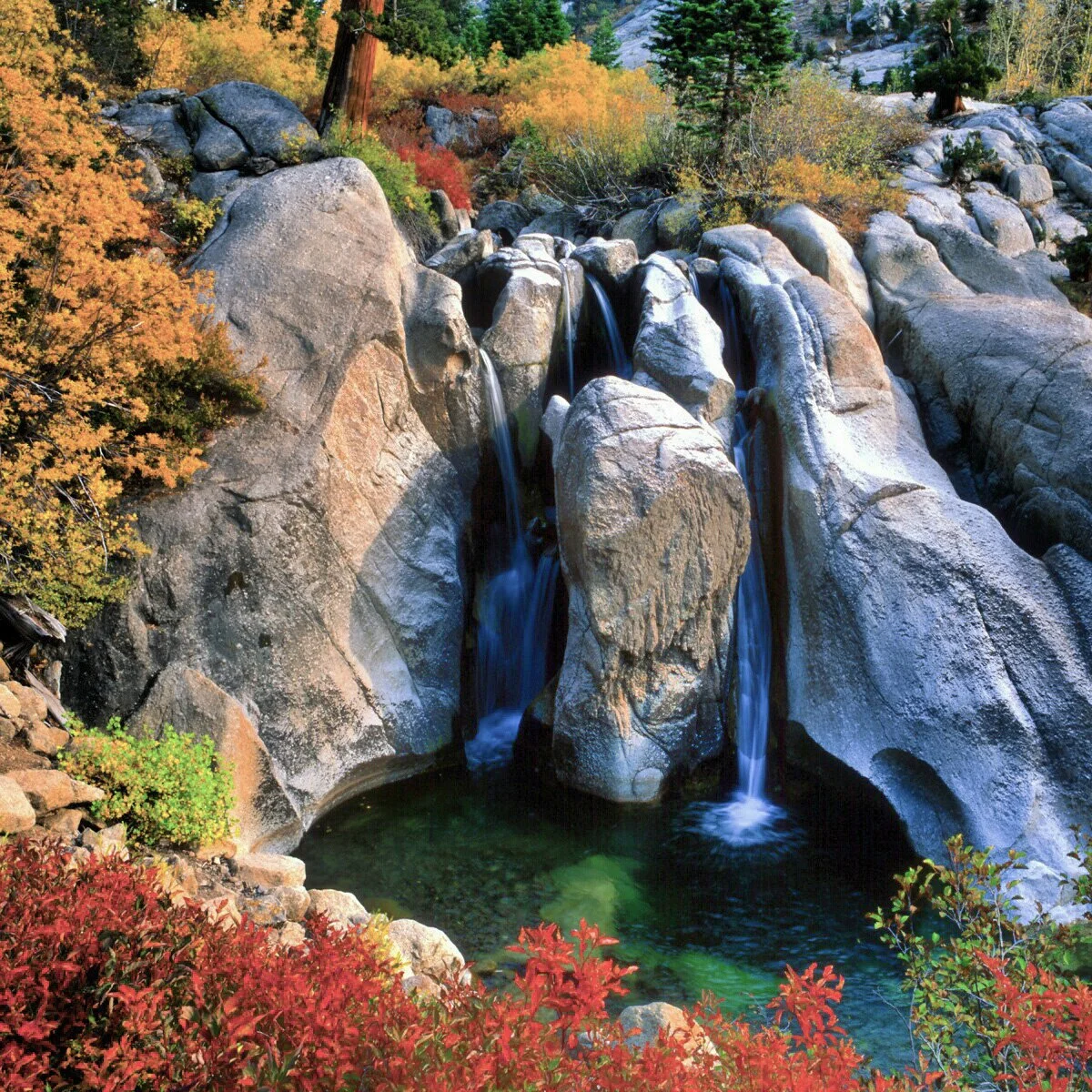 IMG_20121023_140746 4x.jpg