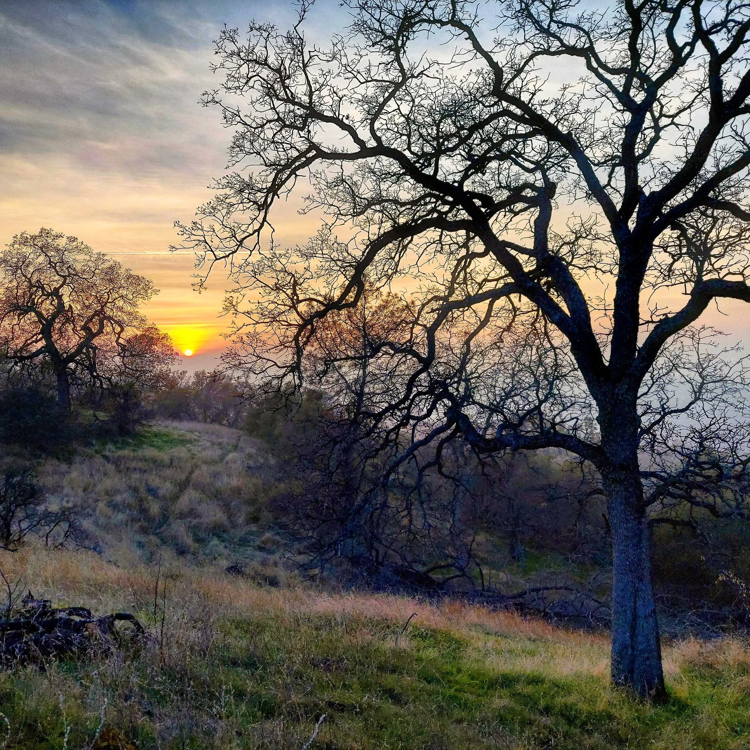 IMG_20210109_180045_549 copy.jpg