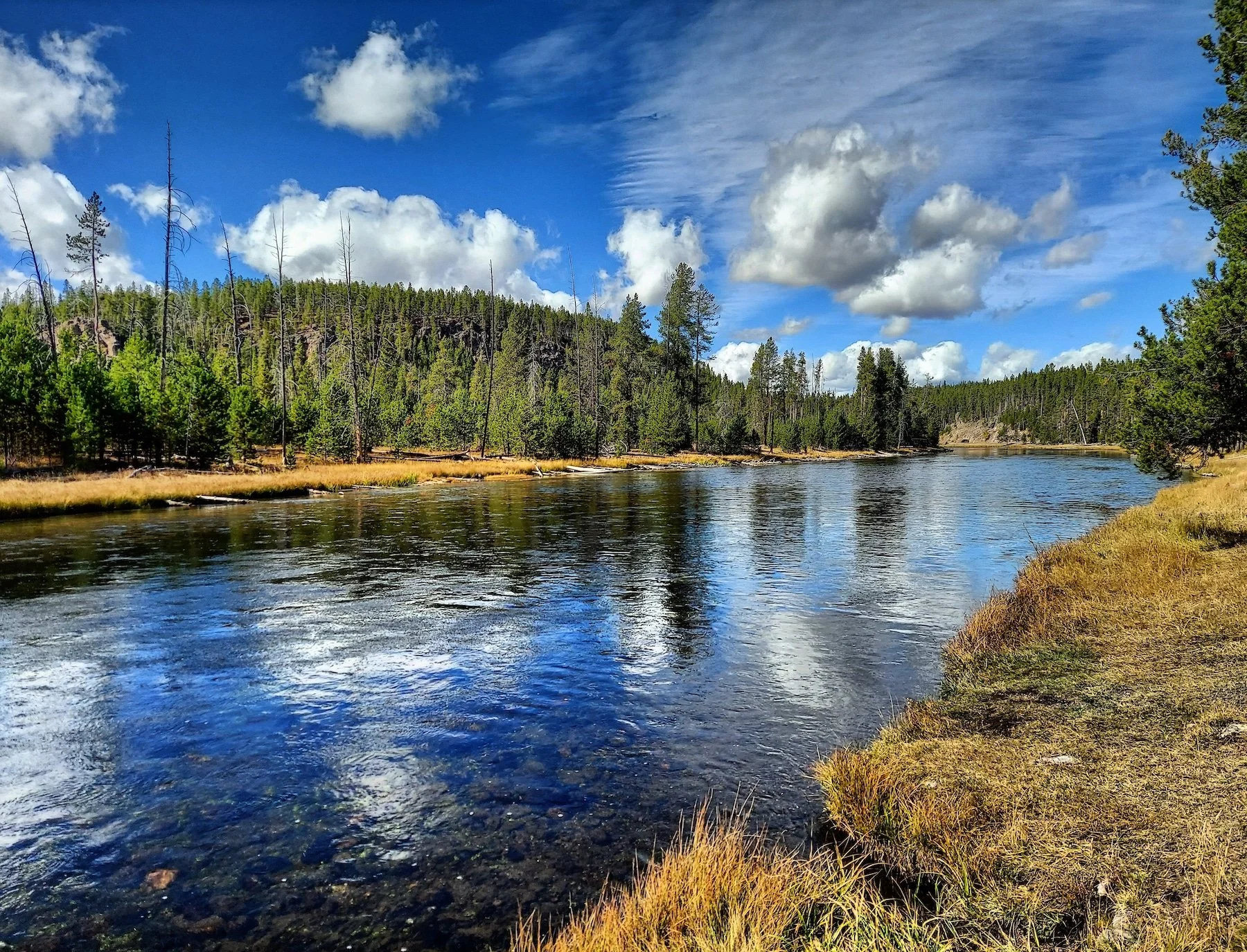 Firehole river.jpeg