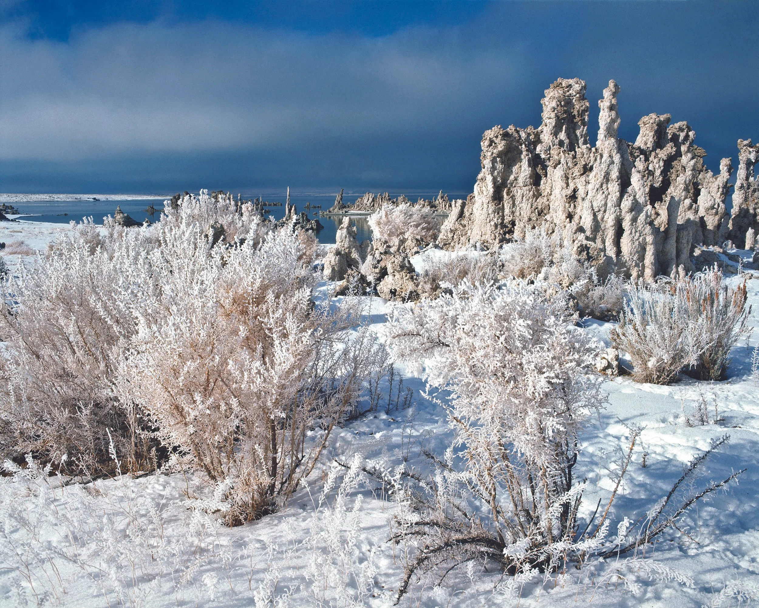 mono_lake_hoarfrost 85xC .jpg