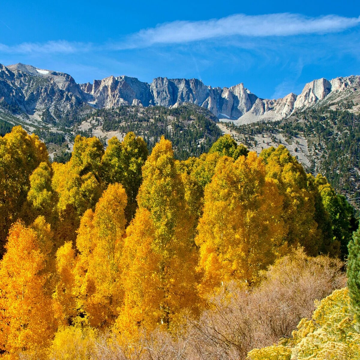 IMG_20121021_181346 4x.jpg