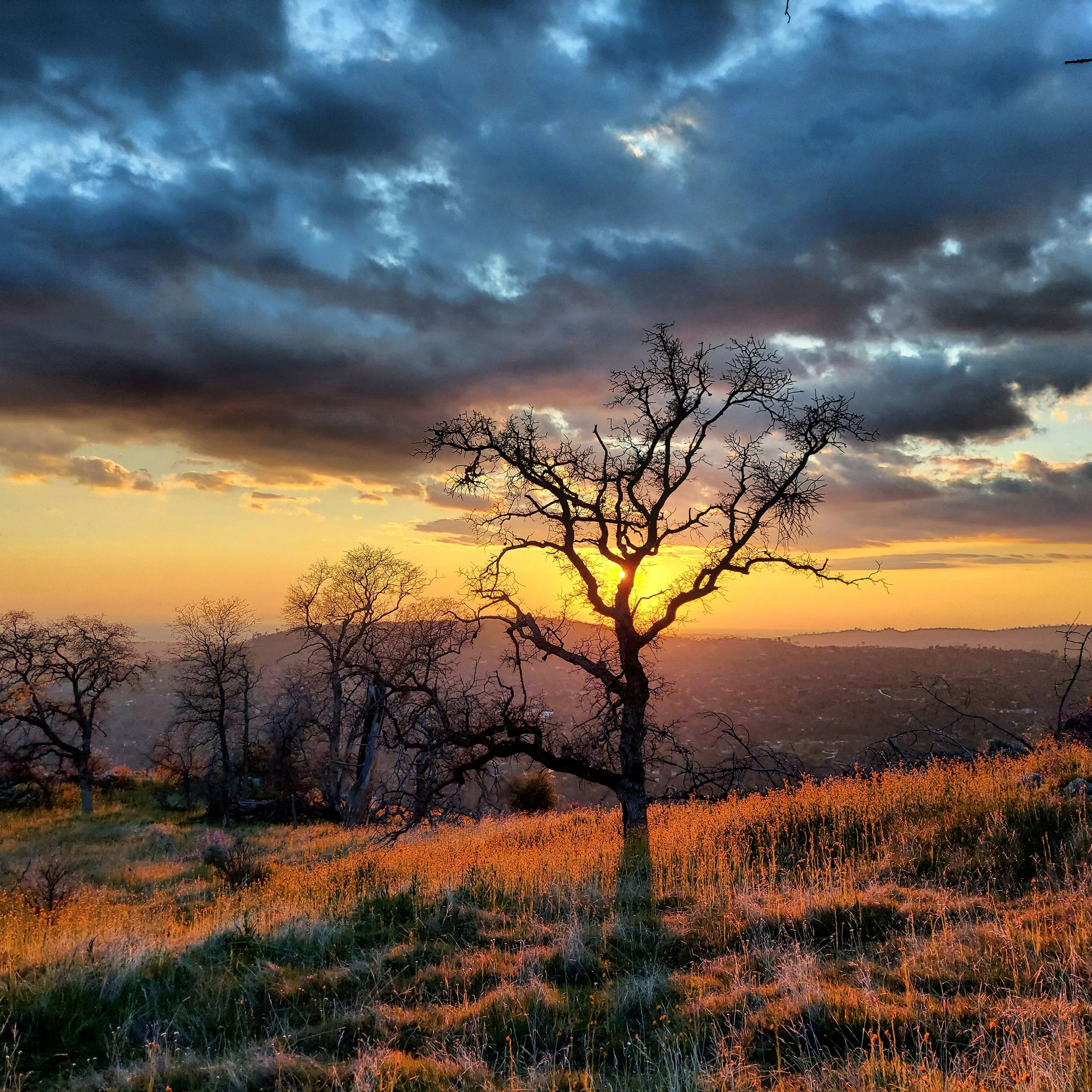 IMG_20210313_010829_111 copy.jpg