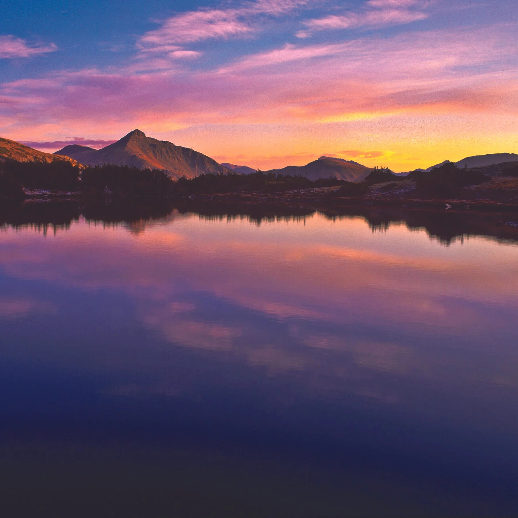 IMG_20121103_204600 6xC.jpg