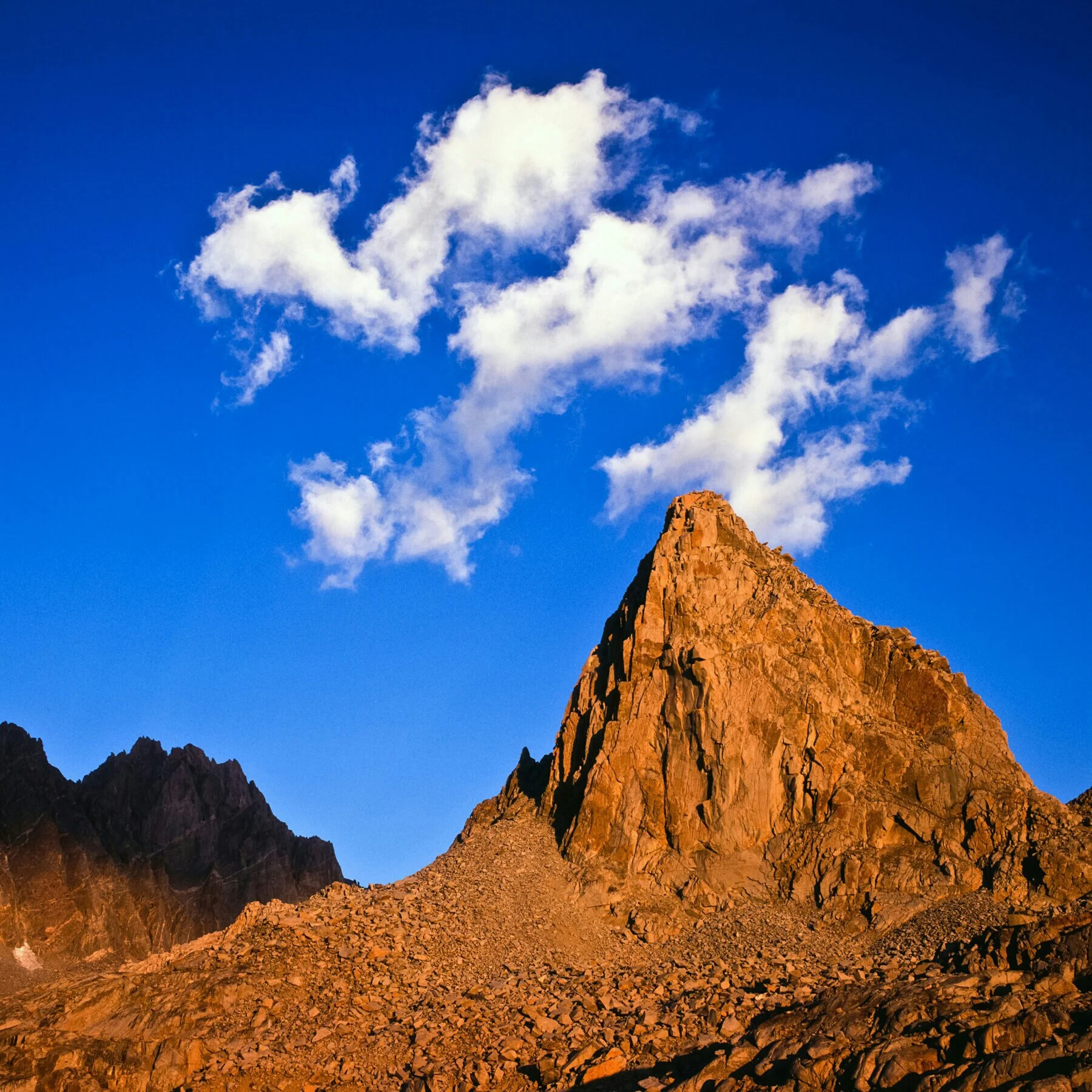 IMG_20121107_133421 copy.jpg