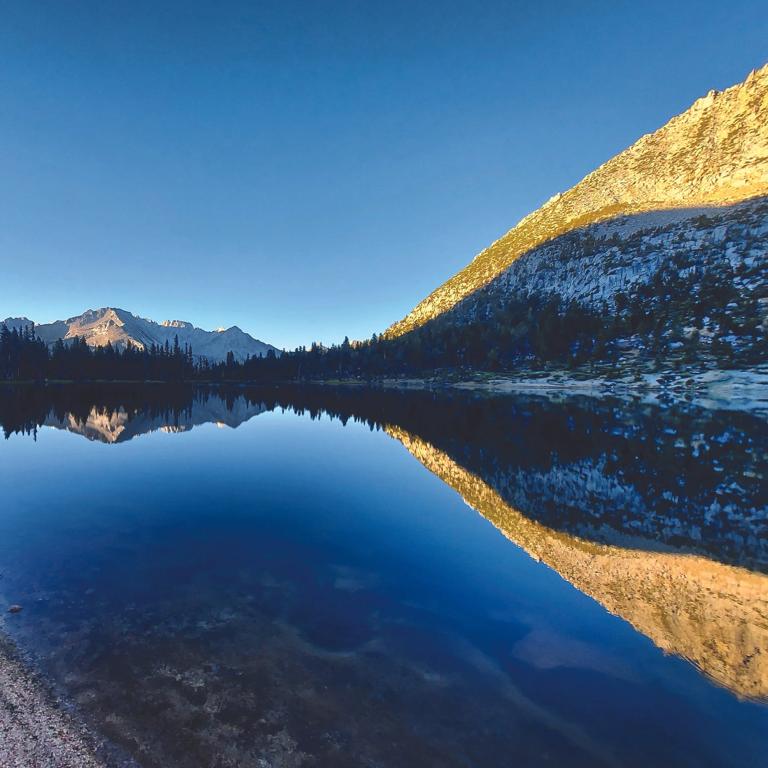 IMG_20200830_003830_730 85xC.jpg