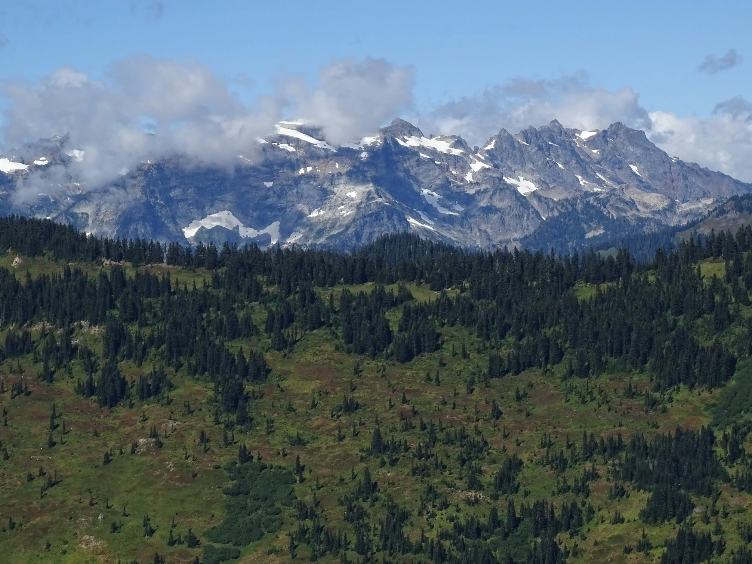 DSC01235.jpg