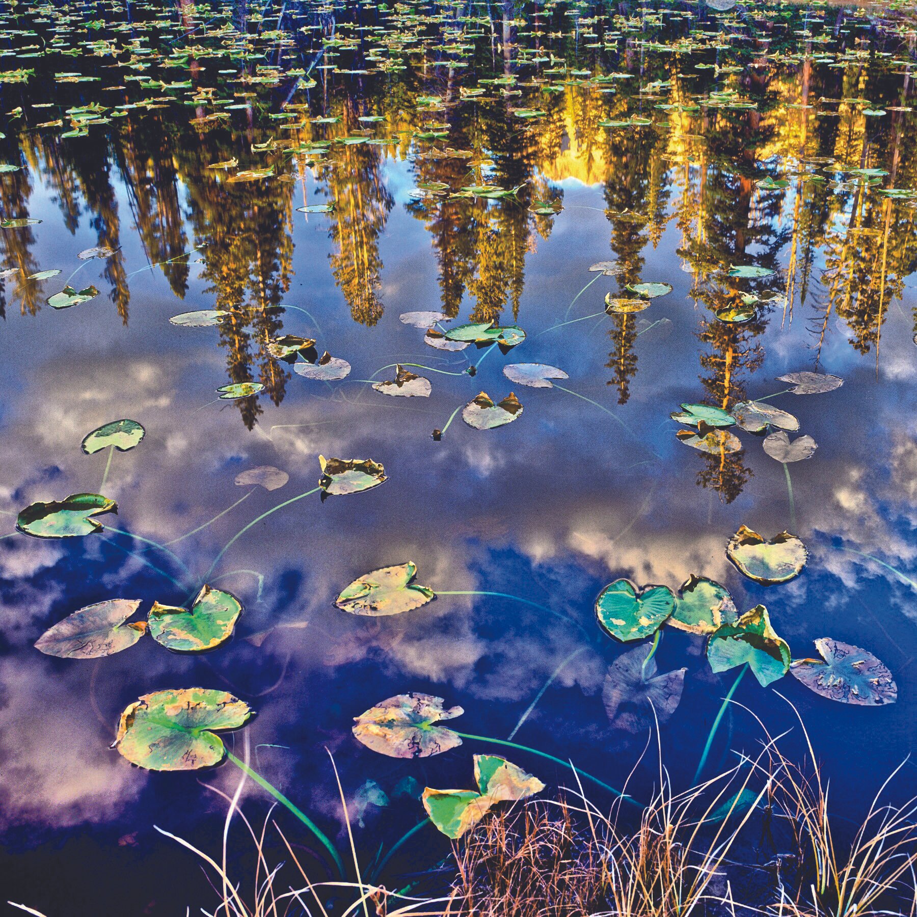 IMG_20121113_210335 6xC.jpg