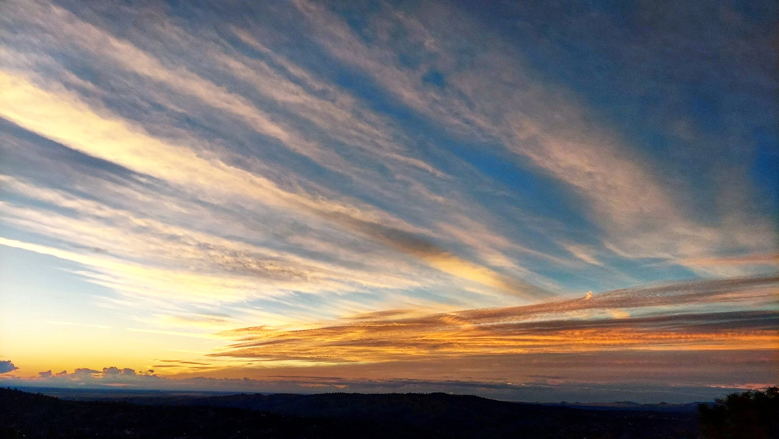 IMG_20201118_165716_917 copy.jpg