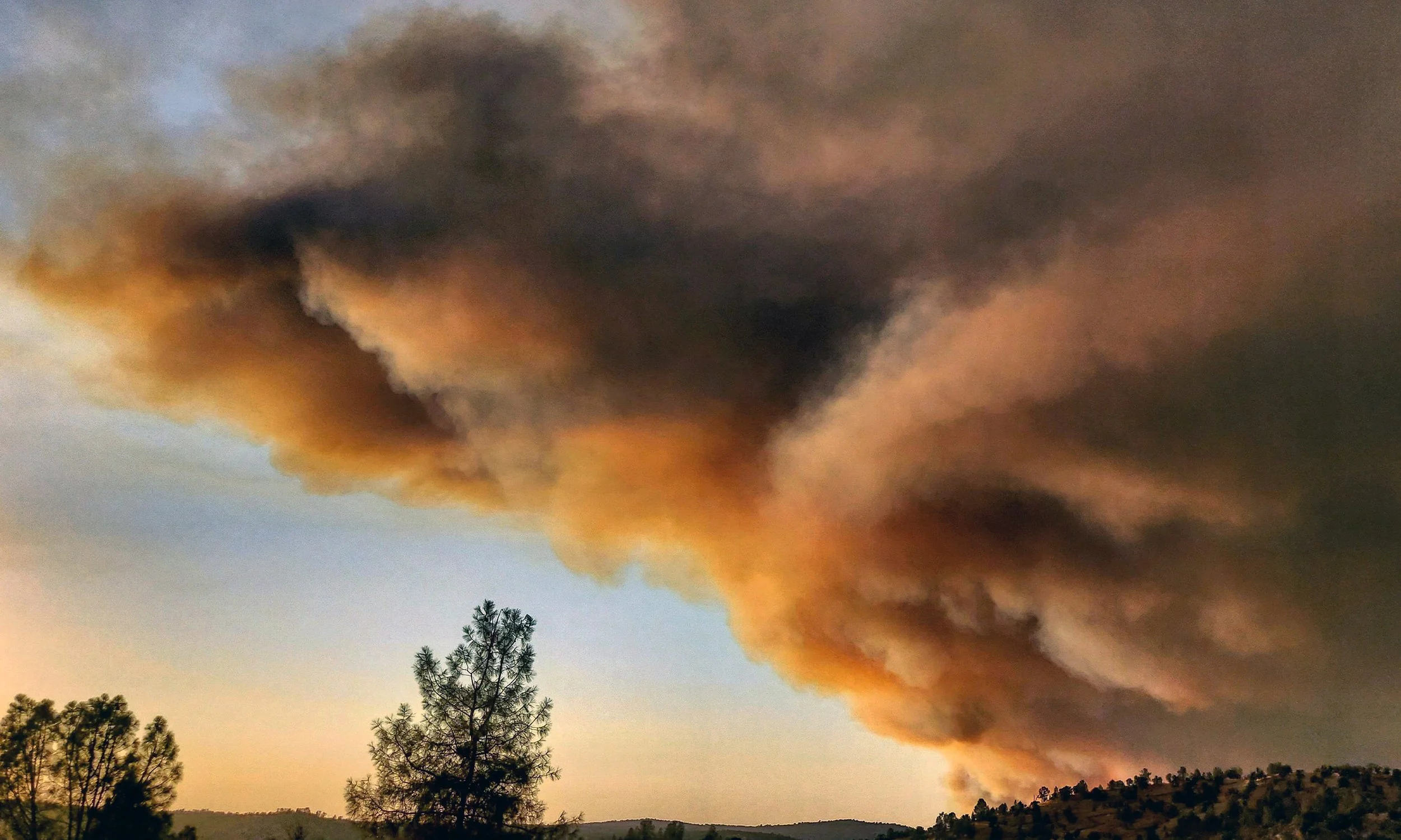 IMG_20210711_222115_749 copy.jpg