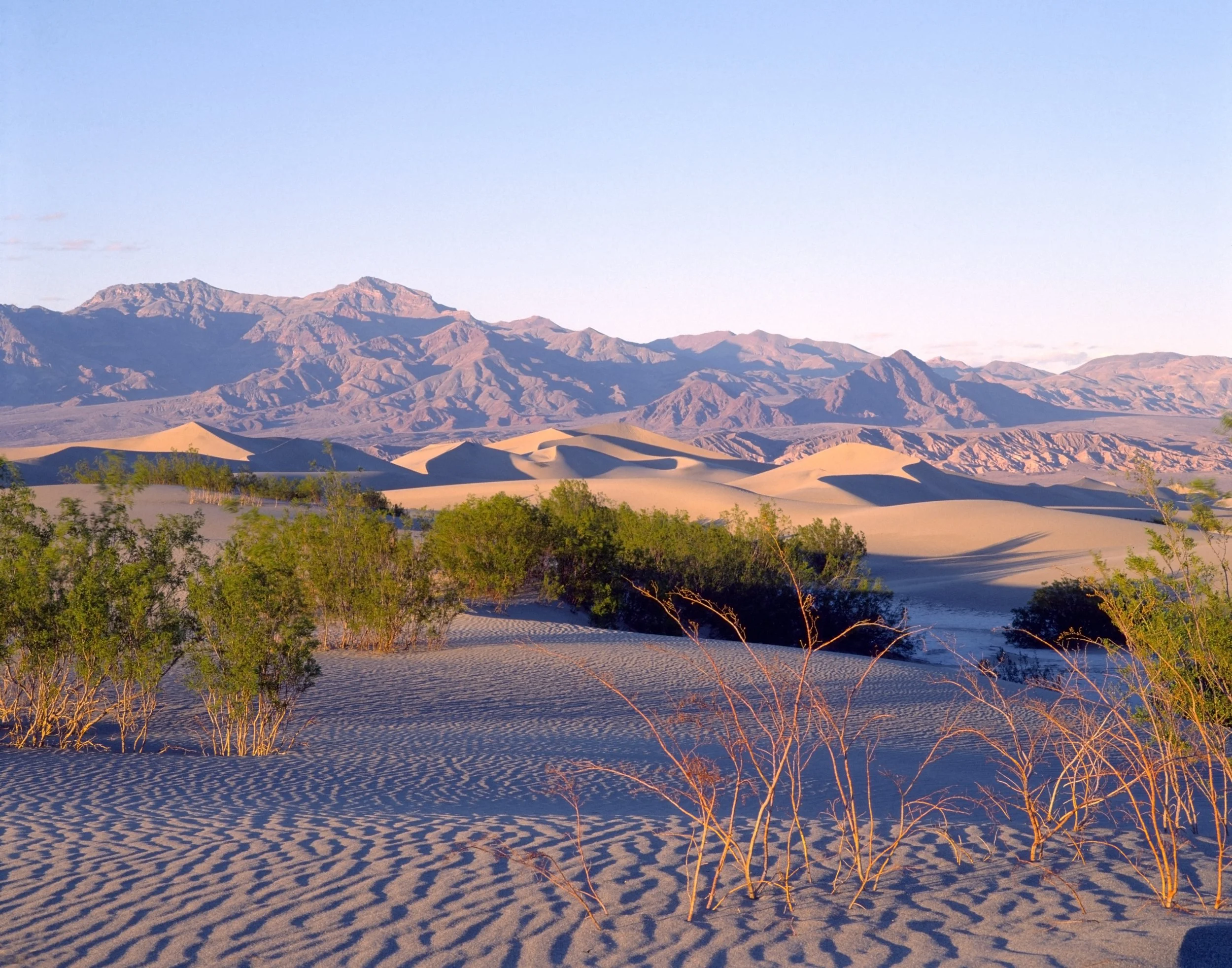 Death Valley Sand Dunes.jpg