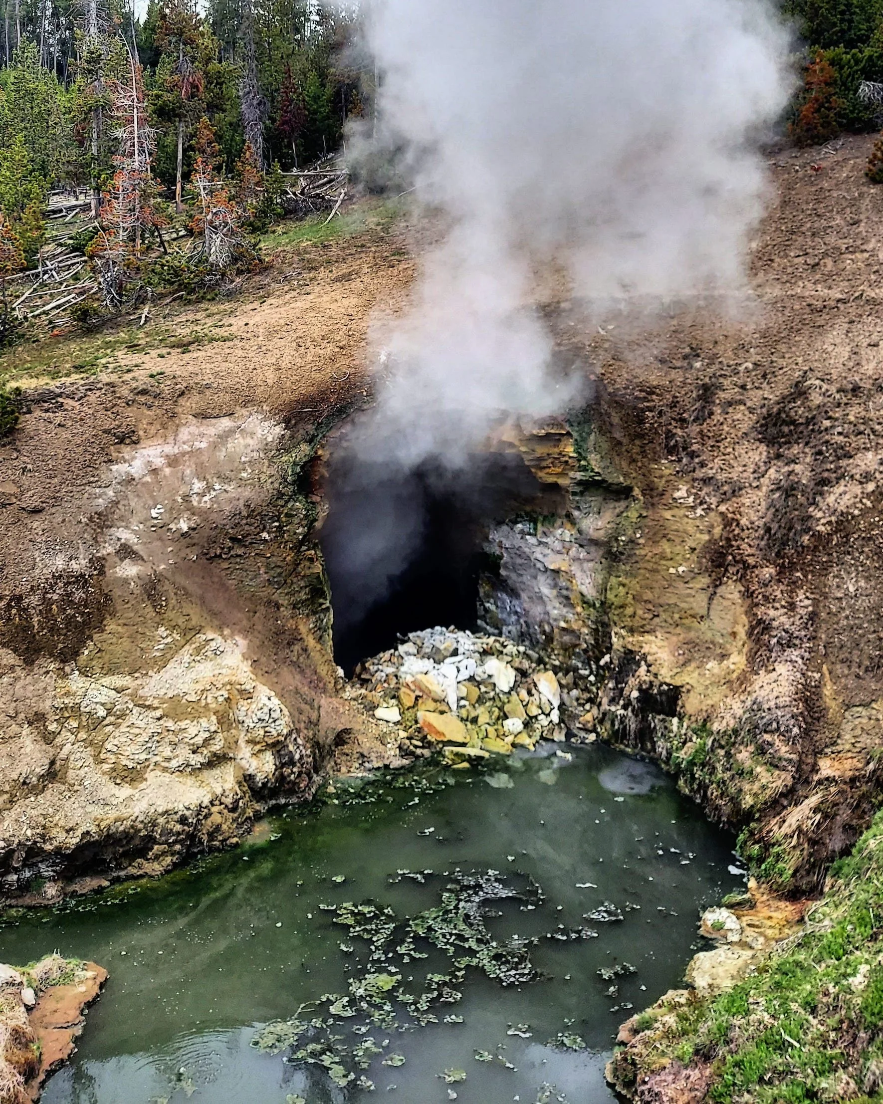 dragons mouth.jpg