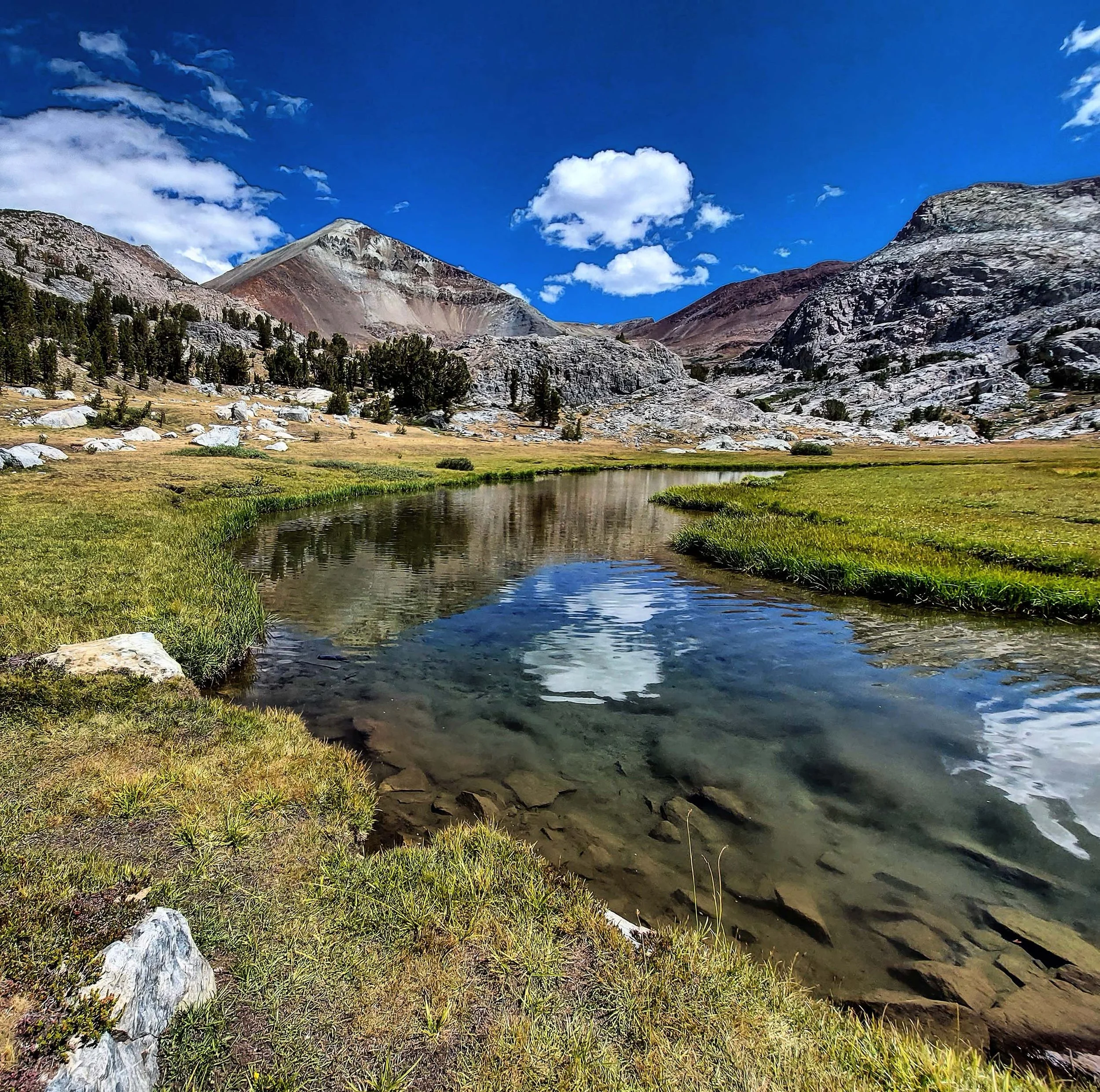 IMG_20200827_162849_209 copy.jpg