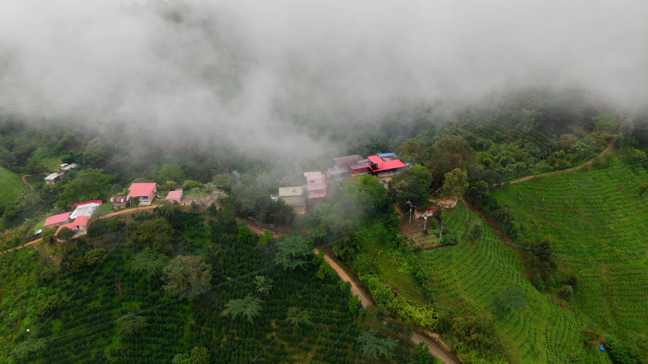Nogales Aerial Fog copy.jpg