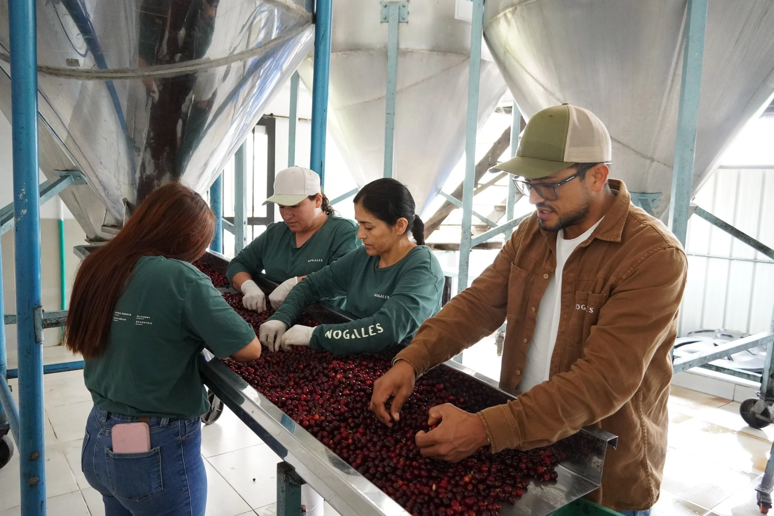 Nogales_Sorting_Processing_03.jpg