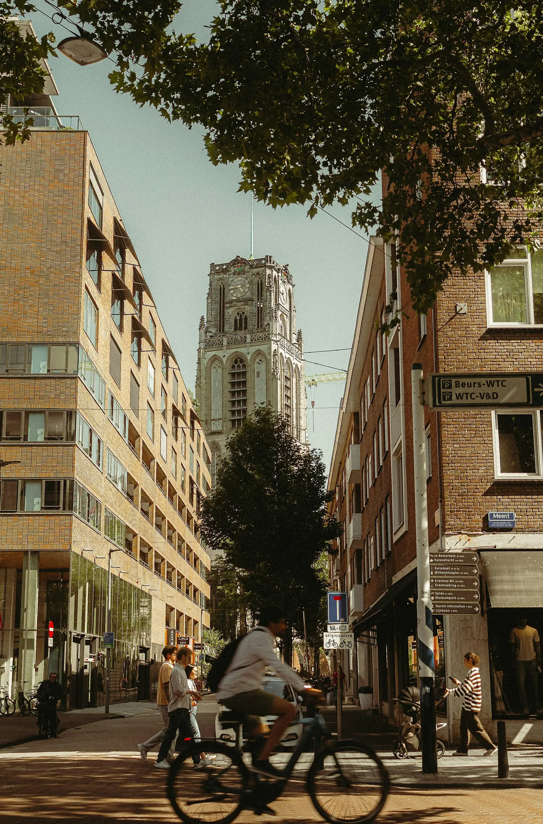 image-4.webp