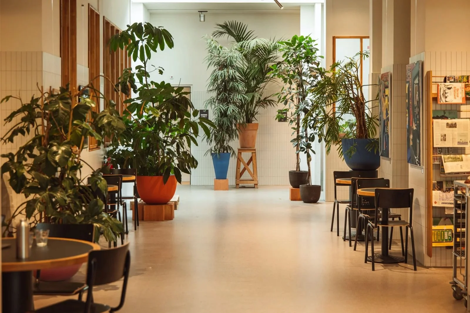 Man Met Bril Koffie Hotel 3.jpeg