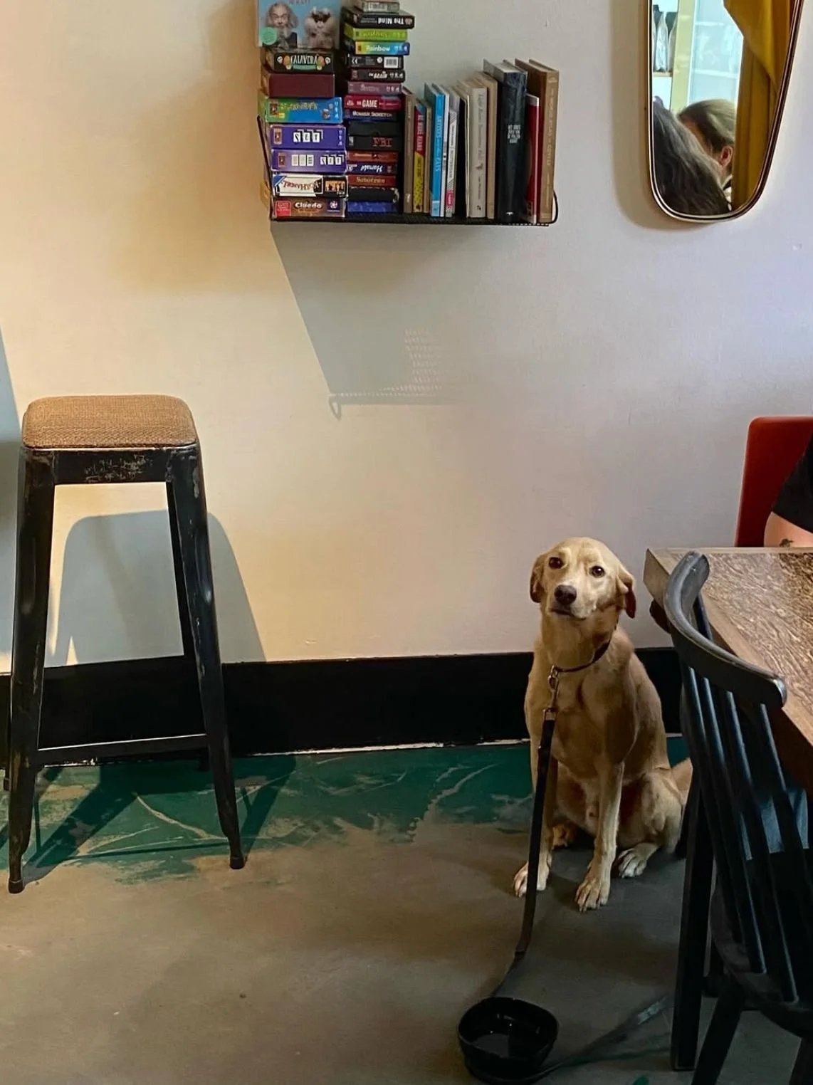 Kopi soesoe dog.jpg
