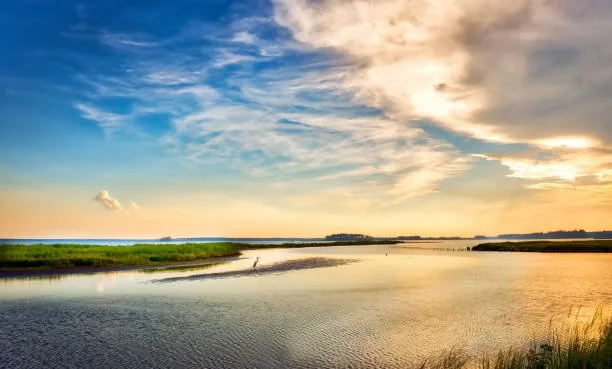 Chesapeake Bay Foundation