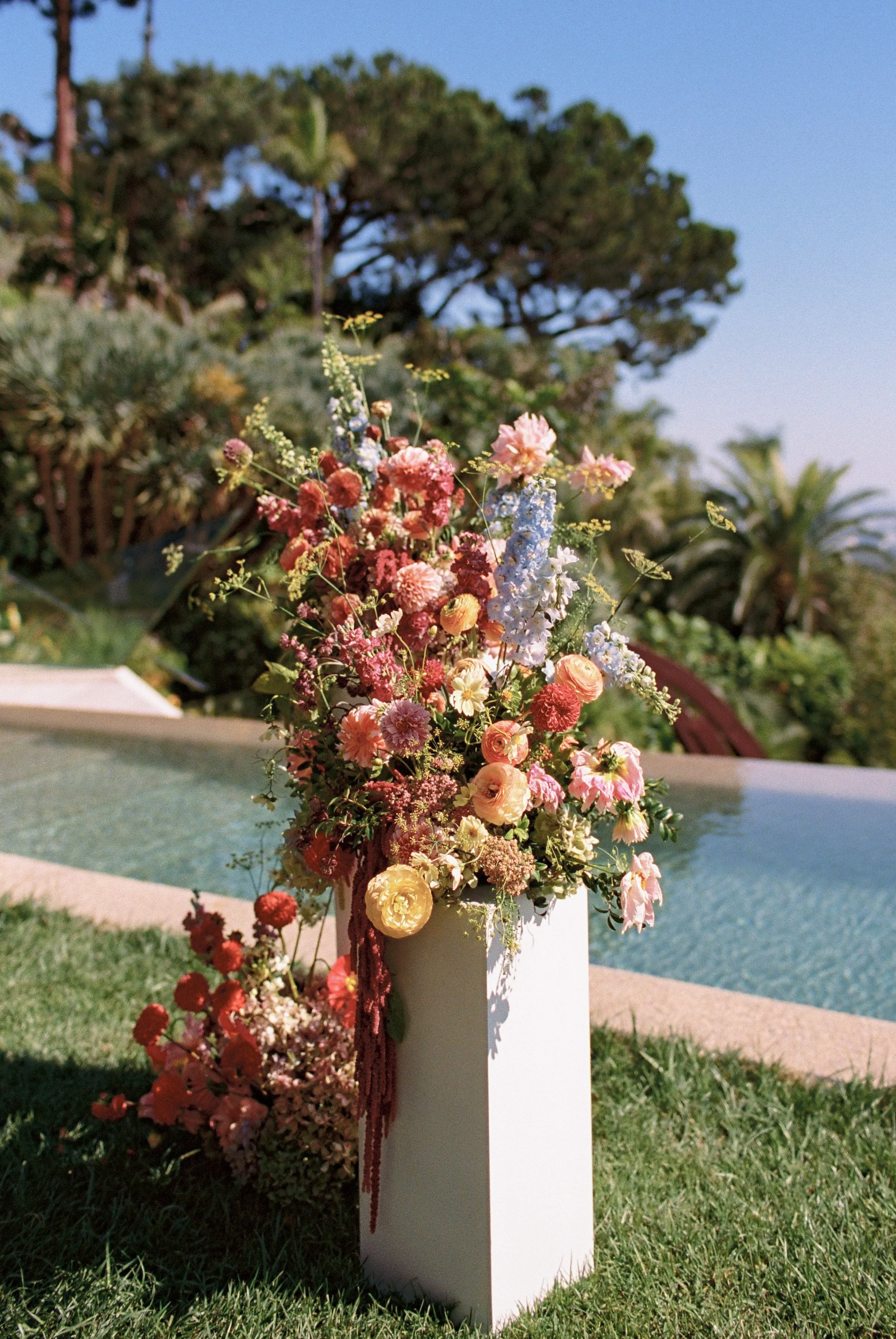 C+D Whimsy Beverly Wedding