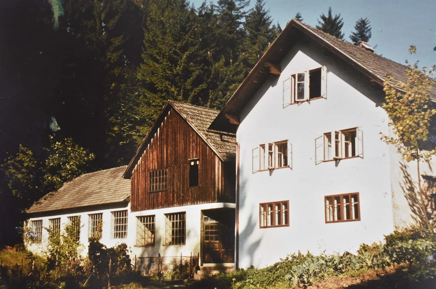 Ein Haus mit weißen Wänden und Holzelementen, umgeben von Bäumen und Pflanzen, bei Sonnenlicht.