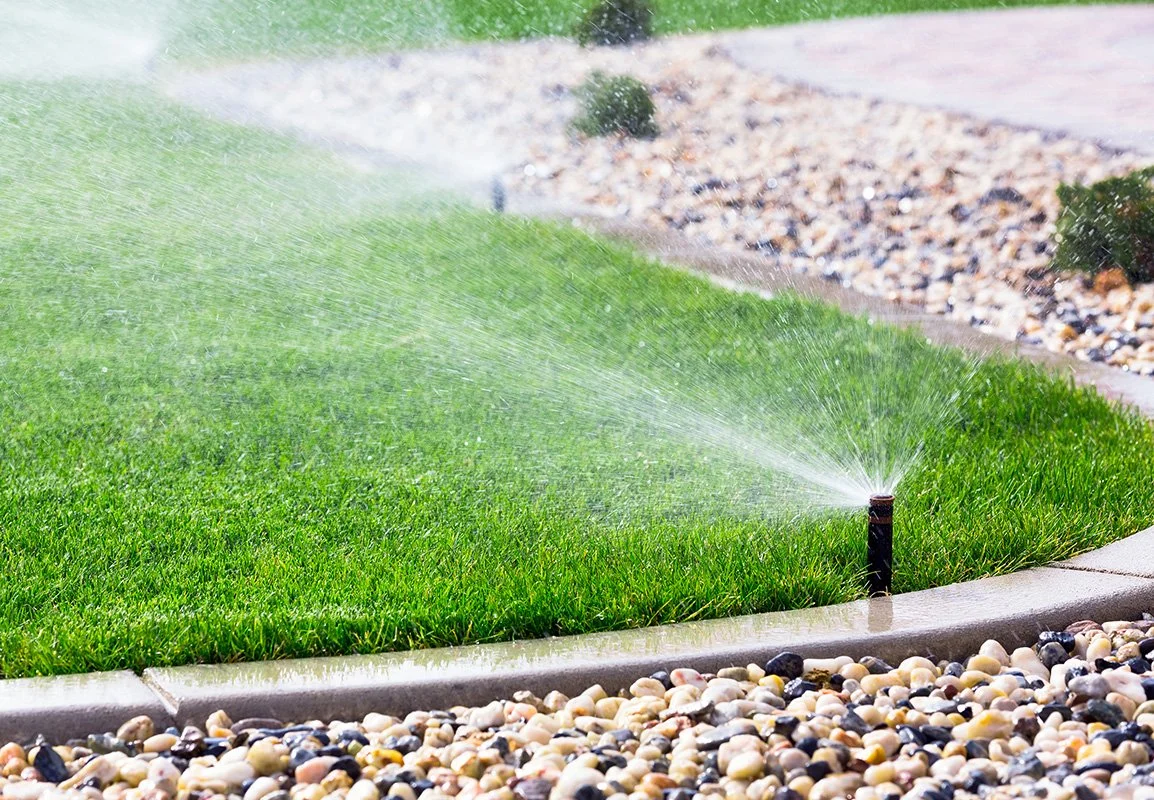 A lawn sprinkler watering green grass next to a garden bed with small rocks.