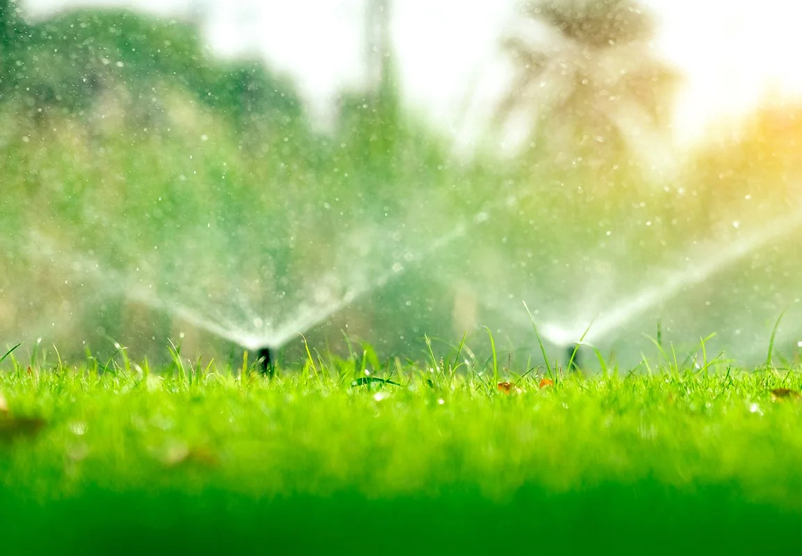 Close-up of sprinklers watering green lawn on a bright, sunny day.