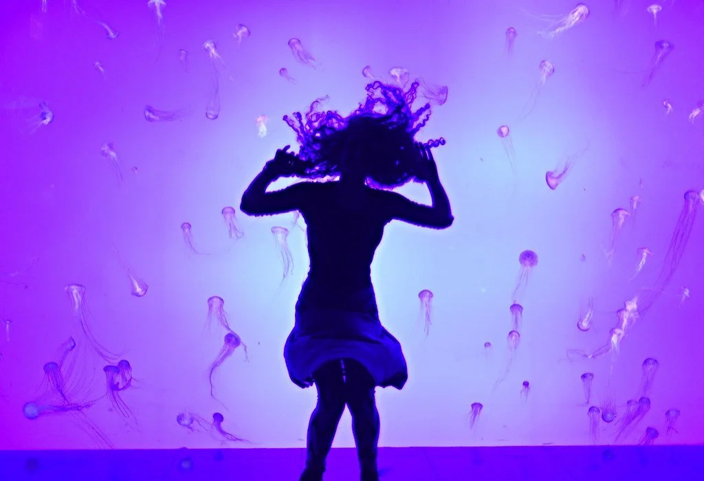 Silhouette of a woman with curly hair dancing in front of an aquarium display filled with jellyfish, illuminated with purple and blue lights.