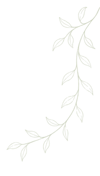 Minimalist vine line drawing used as a framing accent for Branca Theory service categories.