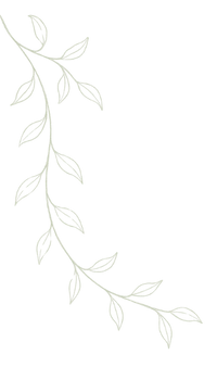 Minimalist vine line drawing used as a framing accent for Branca Theory service categories.