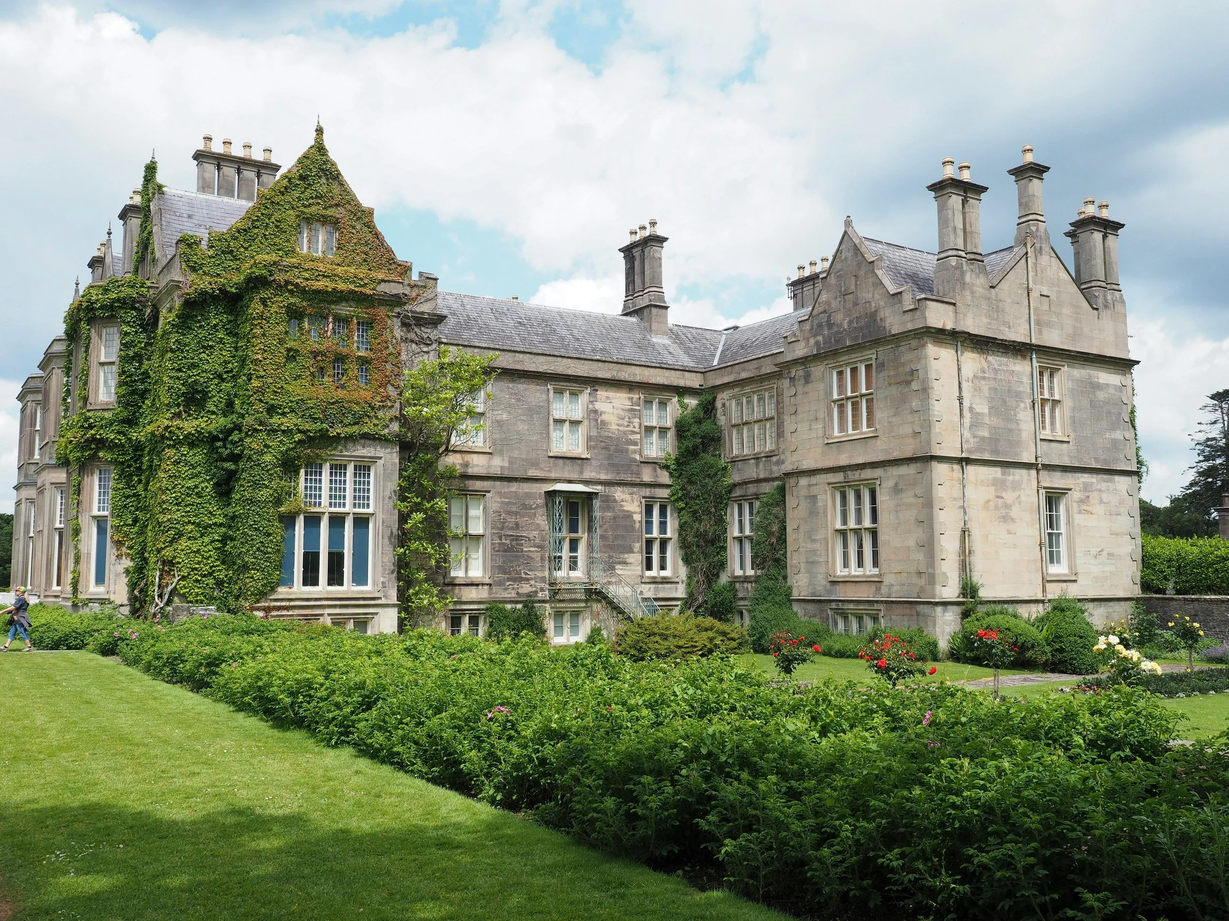 pexels-charldurand-6492452 (1).jpg