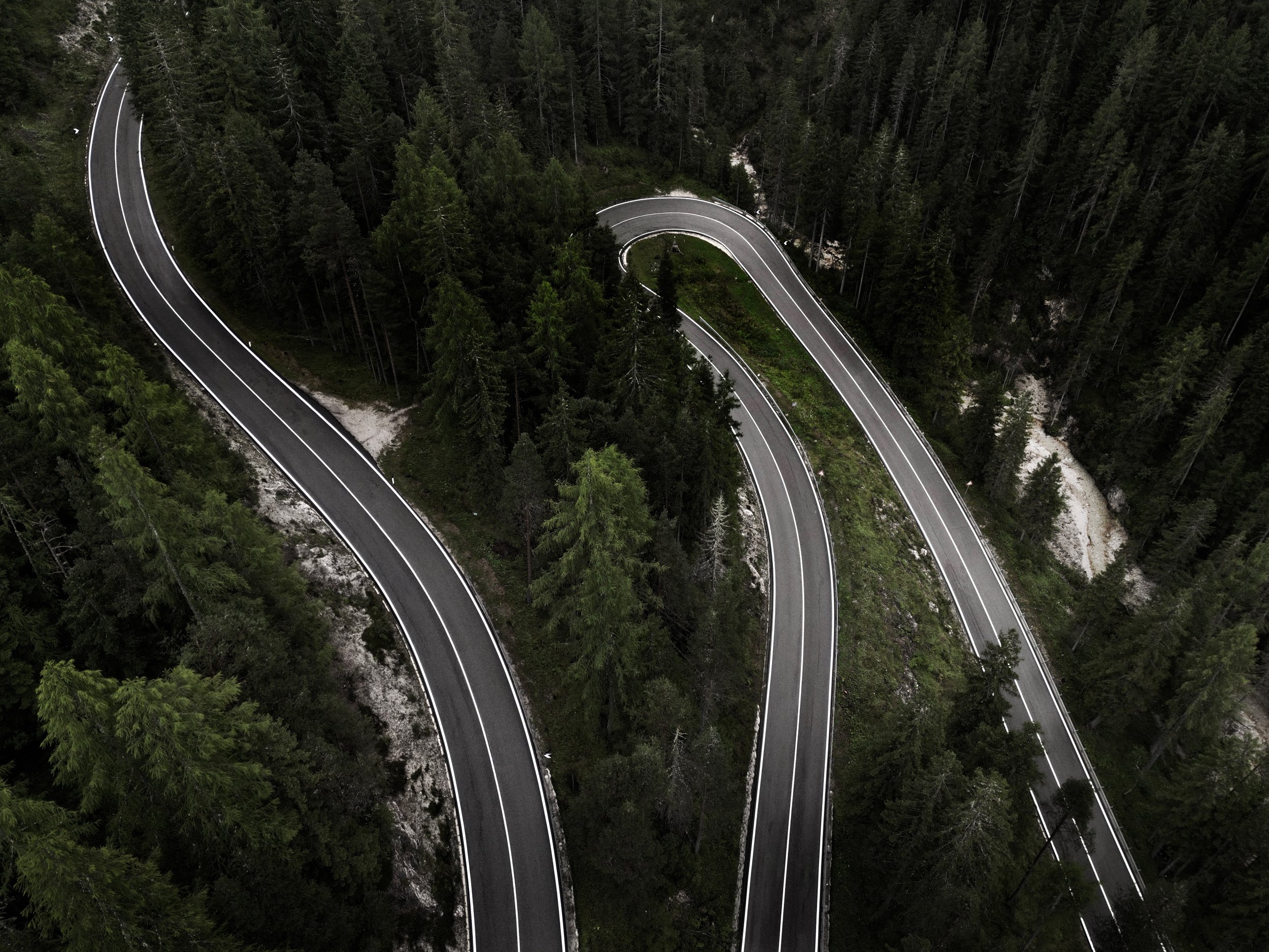 Strada tortuosa tra alberi di foresta