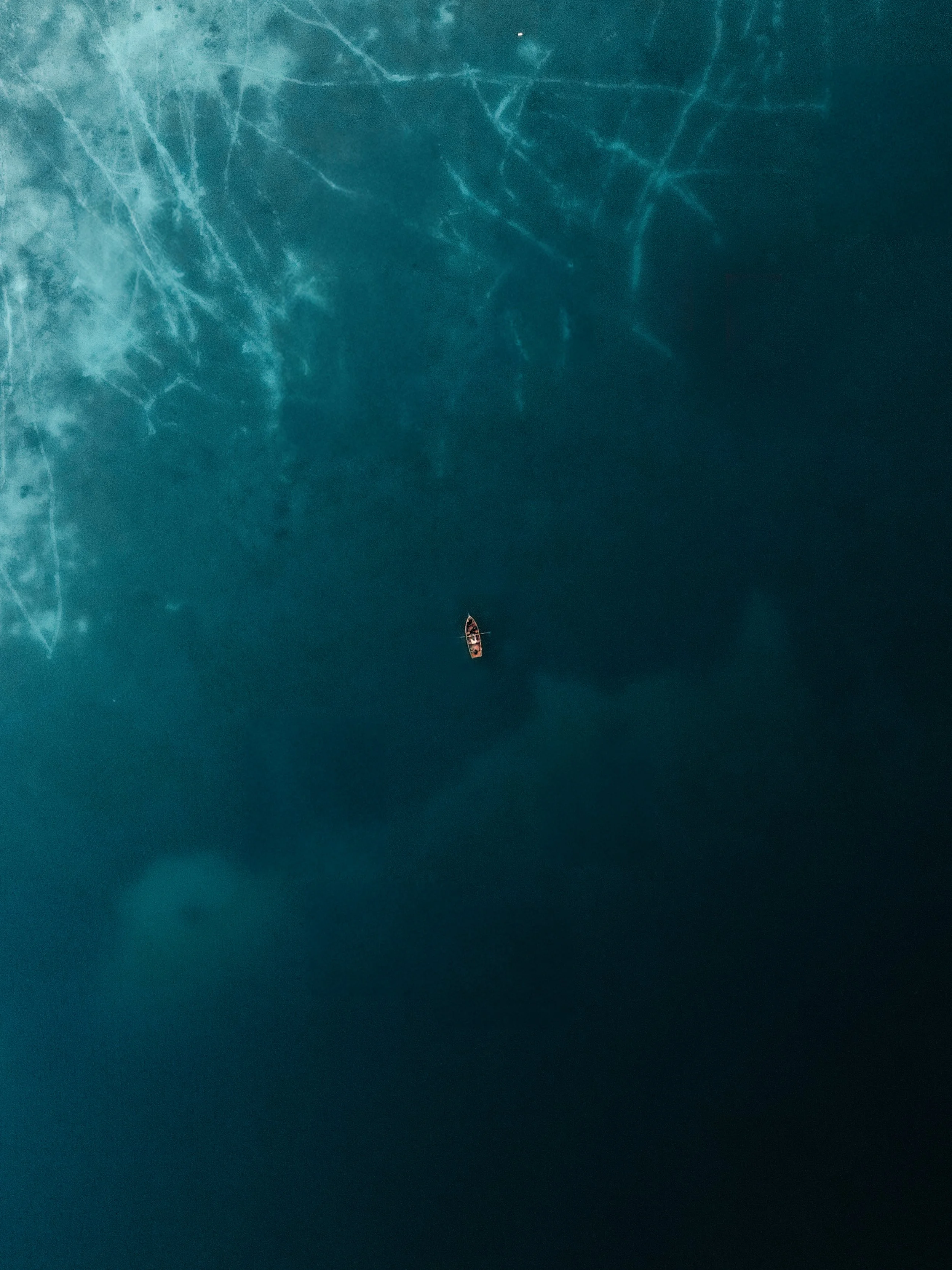 Vela sola su un grande lago o oceano con acque blu, con alcune foglie o detriti sulla superficie