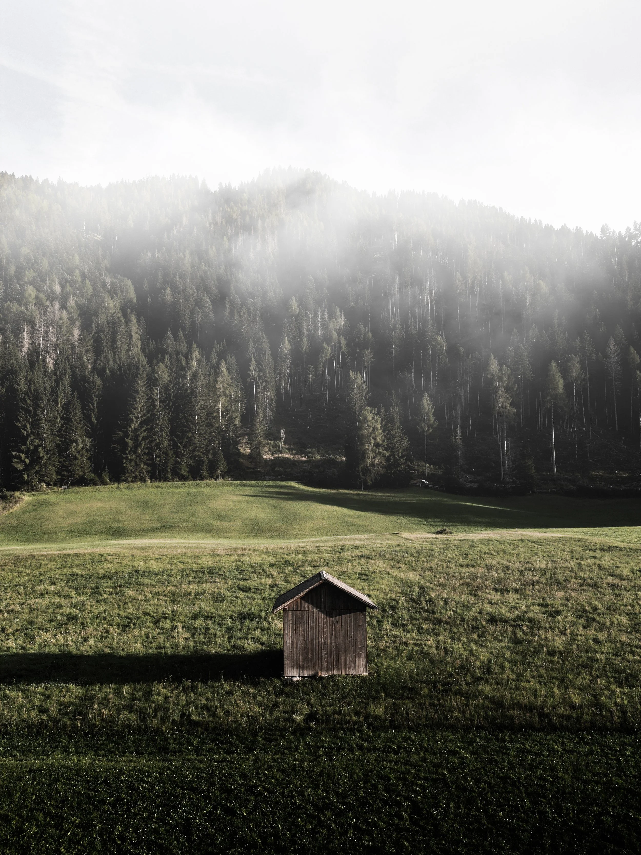 Un'Irlanda in vigneto verde con una piccola casetta in legno in primo piano e una vasta foresta di pini e abeti sullo sfondo, con alcune nebbie tra gli alberi.