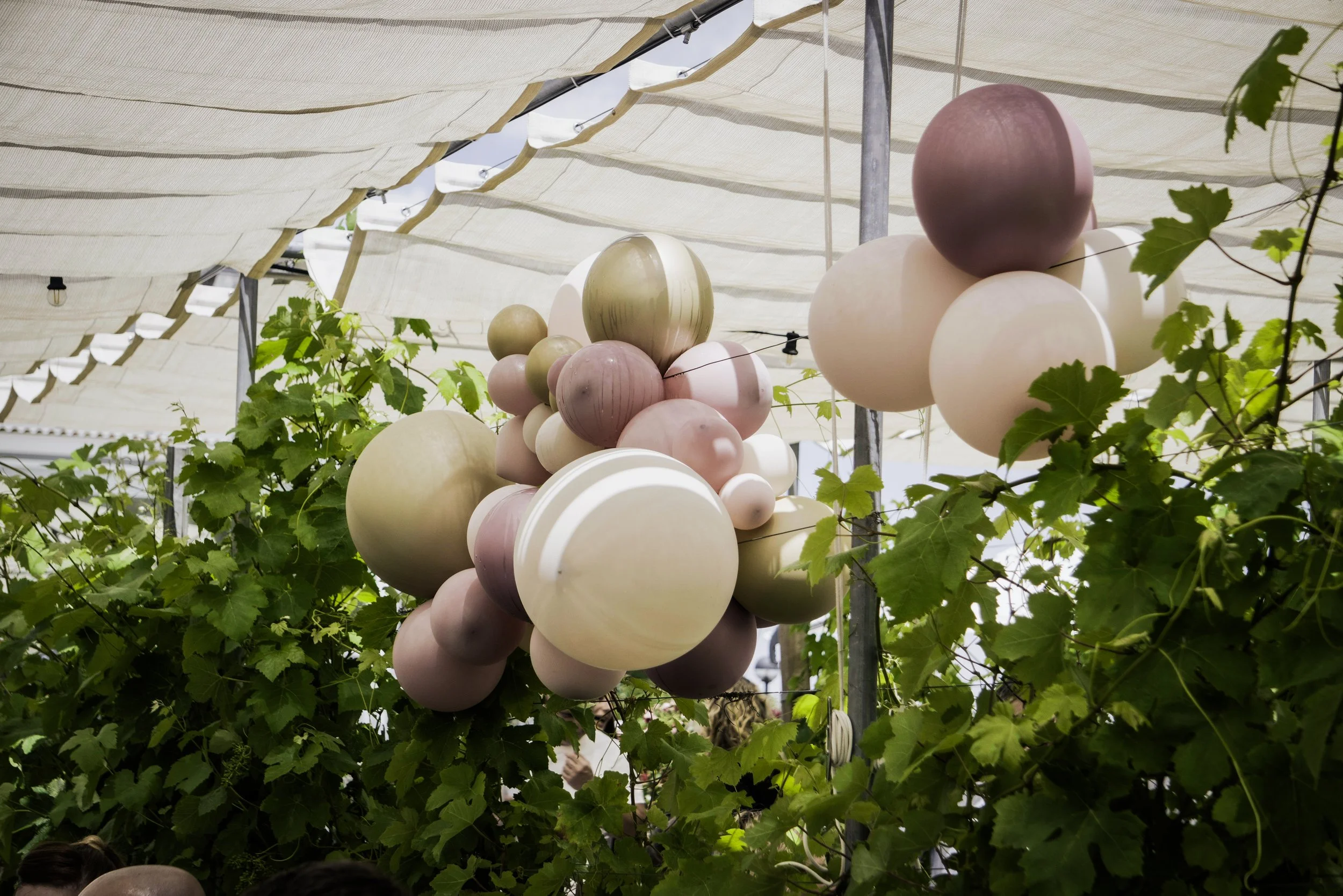 Boules di vari colori e dimensioni sospese tra foglie di vite e sotto un tendone di stoffa