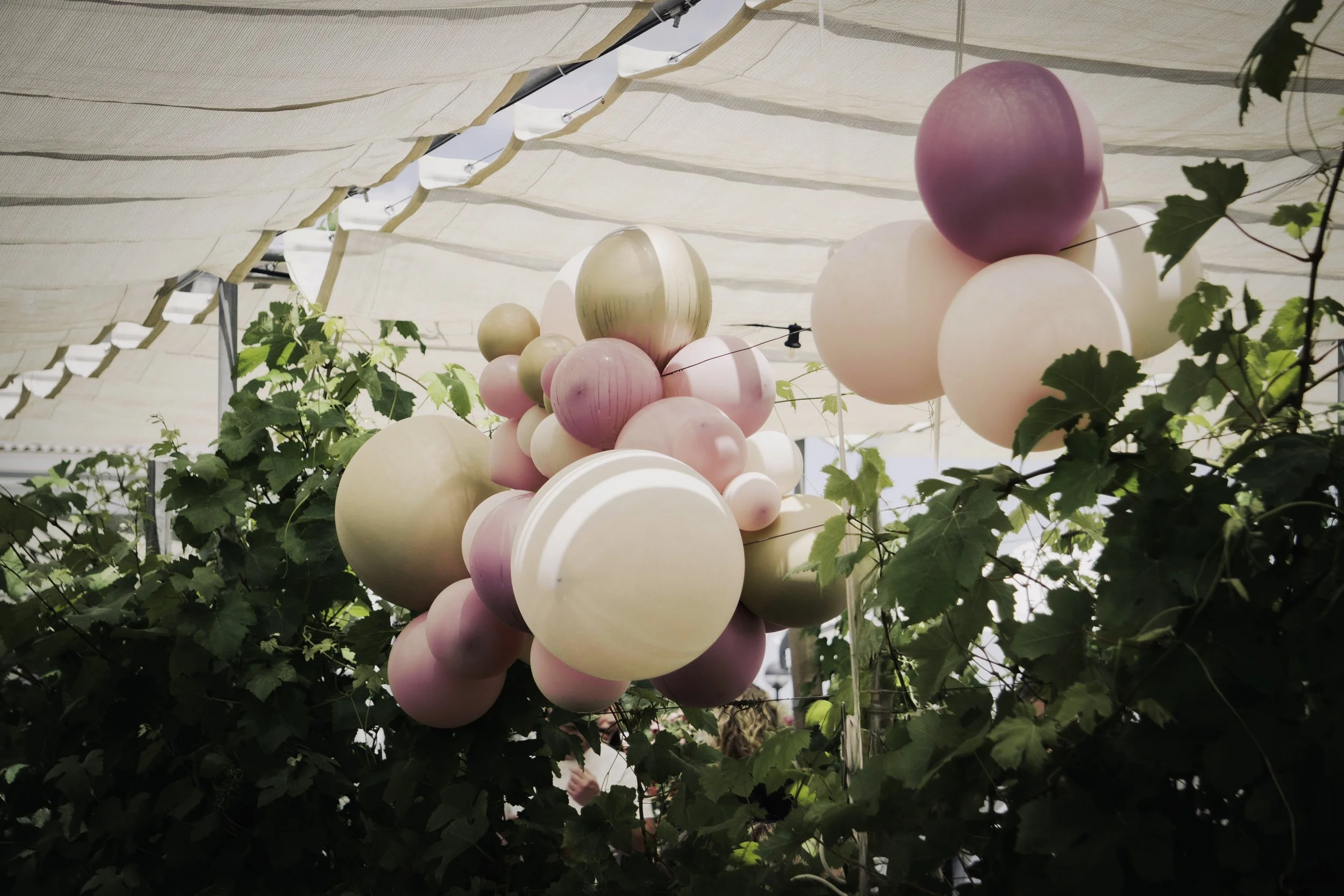 Decorazioni con palloncini di vari colori e dimensioni appesi sopra delle piante verdi, sotto una tenda bianca.