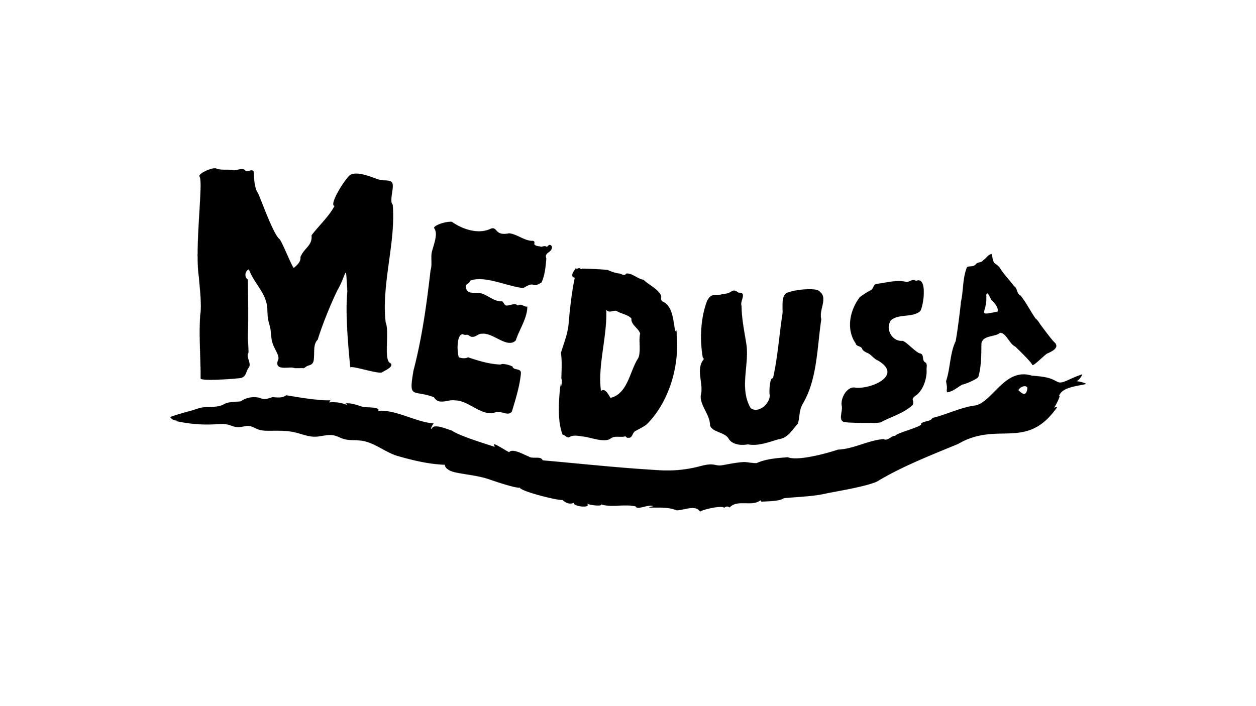 Medusa Presentation.png