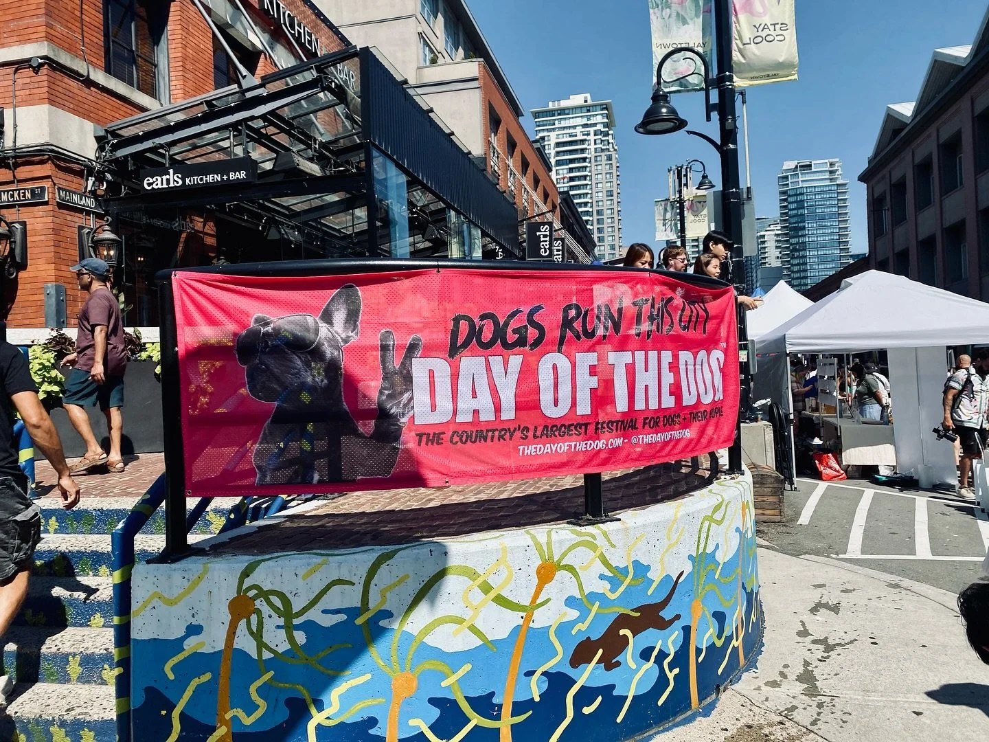 Day of the Dog 2025