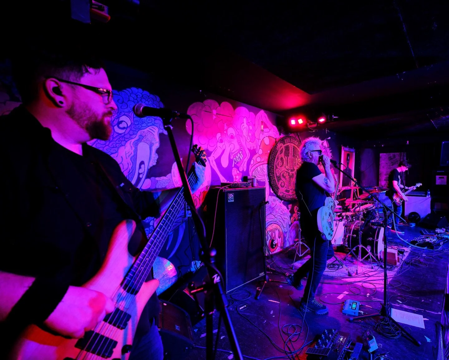 Had a blast playing with @modernangelofficial for our first show @bullysstudios 

Big thank you to everyone who came out and @jzxjzphotography for all the rad photos

@officialspector 
@daddarioandco 

#vancouverlivemusic #livemusicphotography #bassp