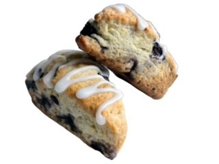 LemonBlueberry2.jpeg