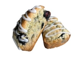 LemonBlueberry3.jpeg