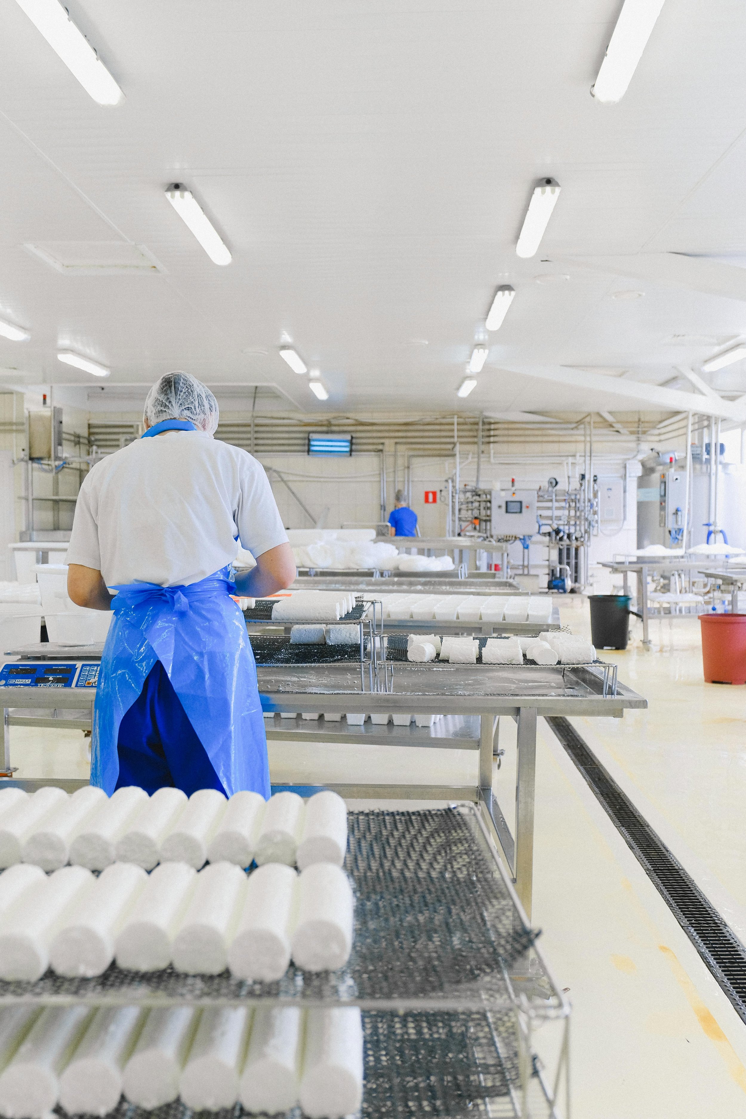Workers in a cheese manufacturing facility, wearing protective clothing and hairnets, processing white cheese on stainless steel tables with industrial equipment in the background.