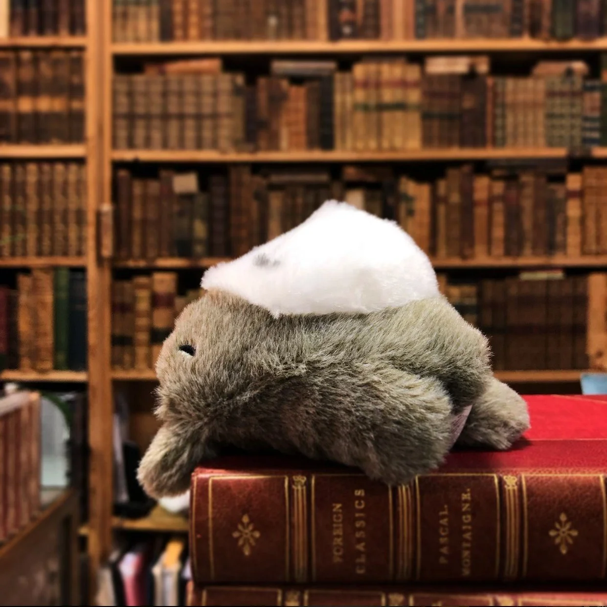 Russian Hill Bookstore